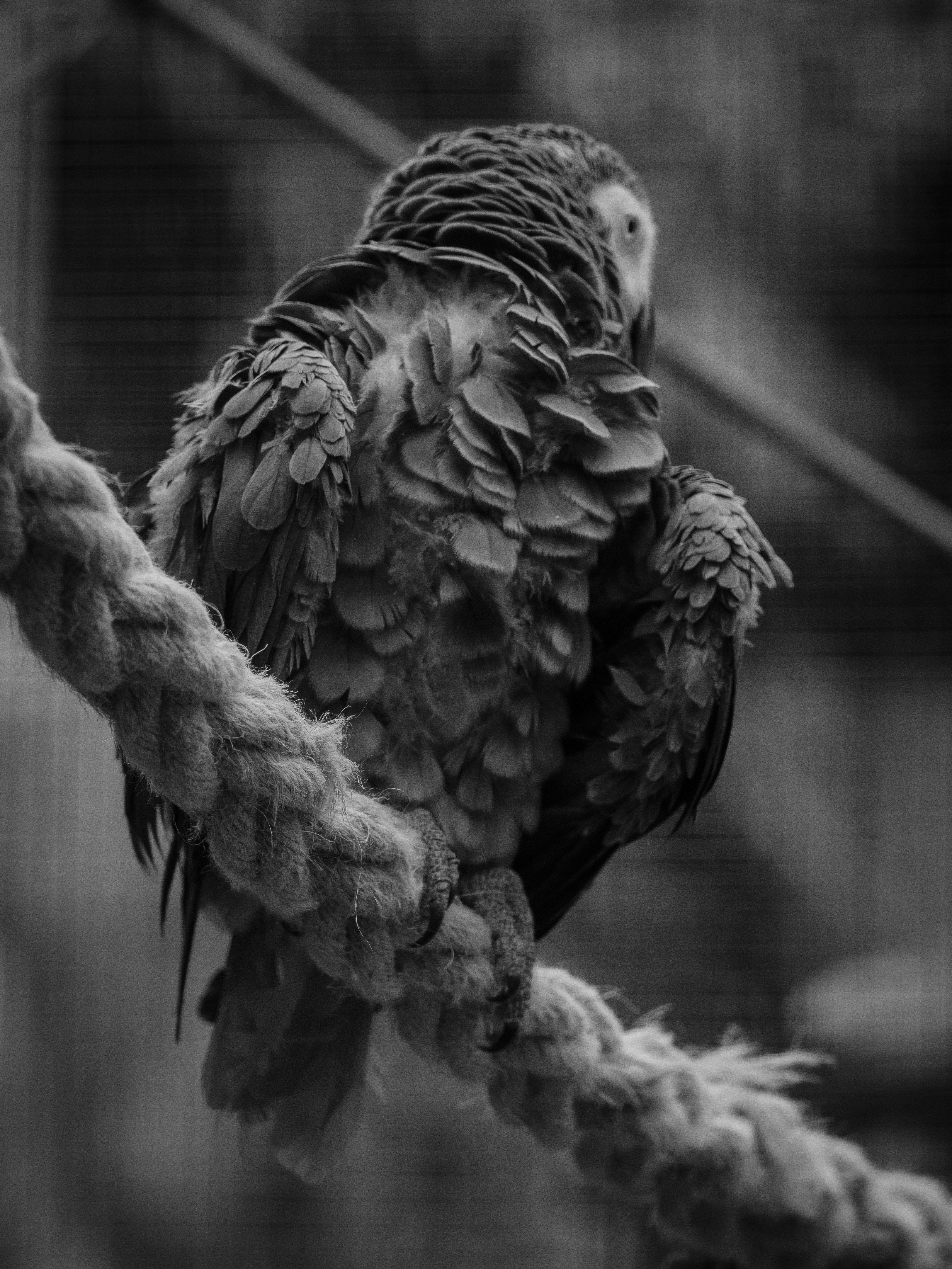 Photo by haberdoedas