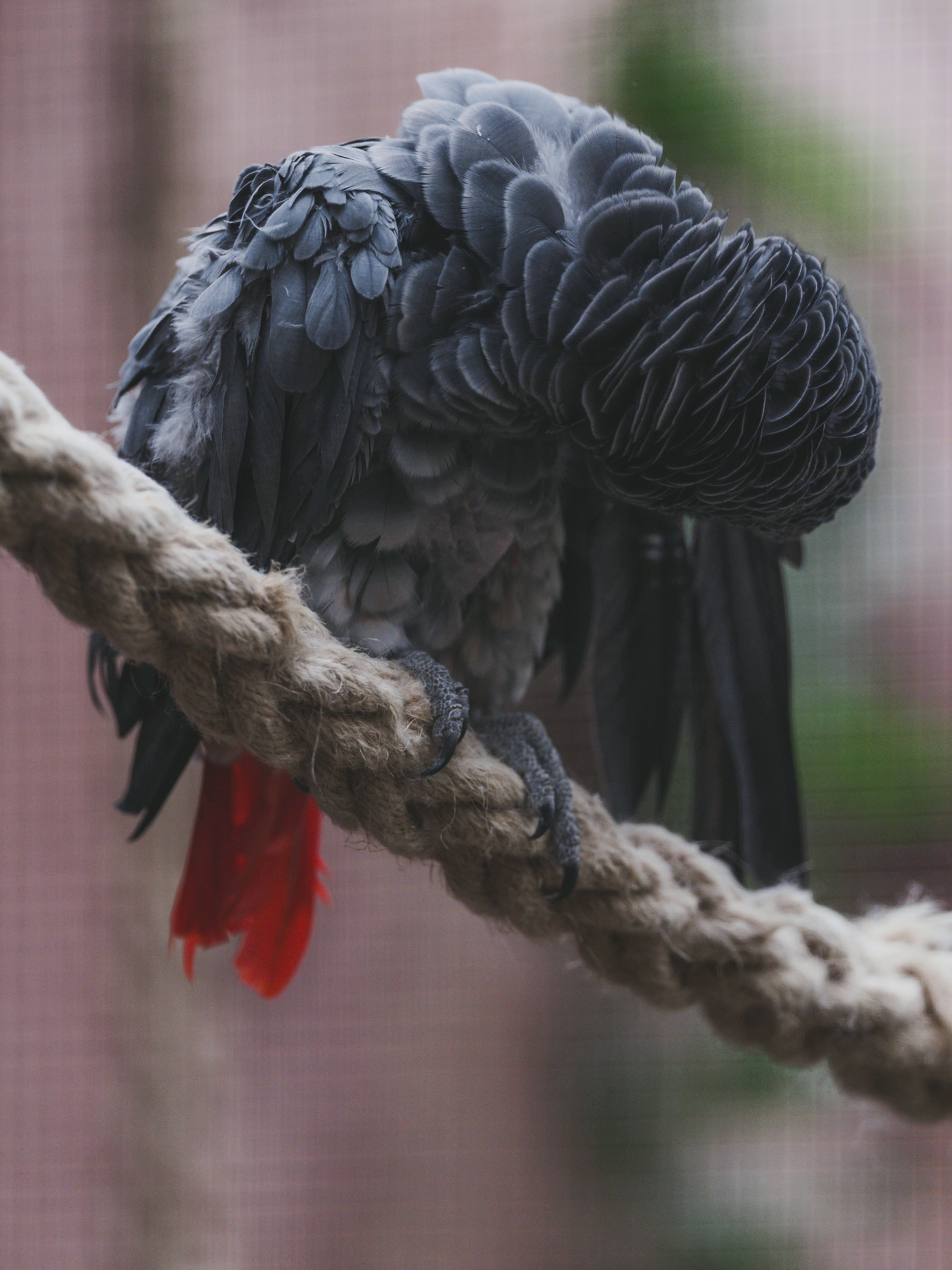 Photo by haberdoedas