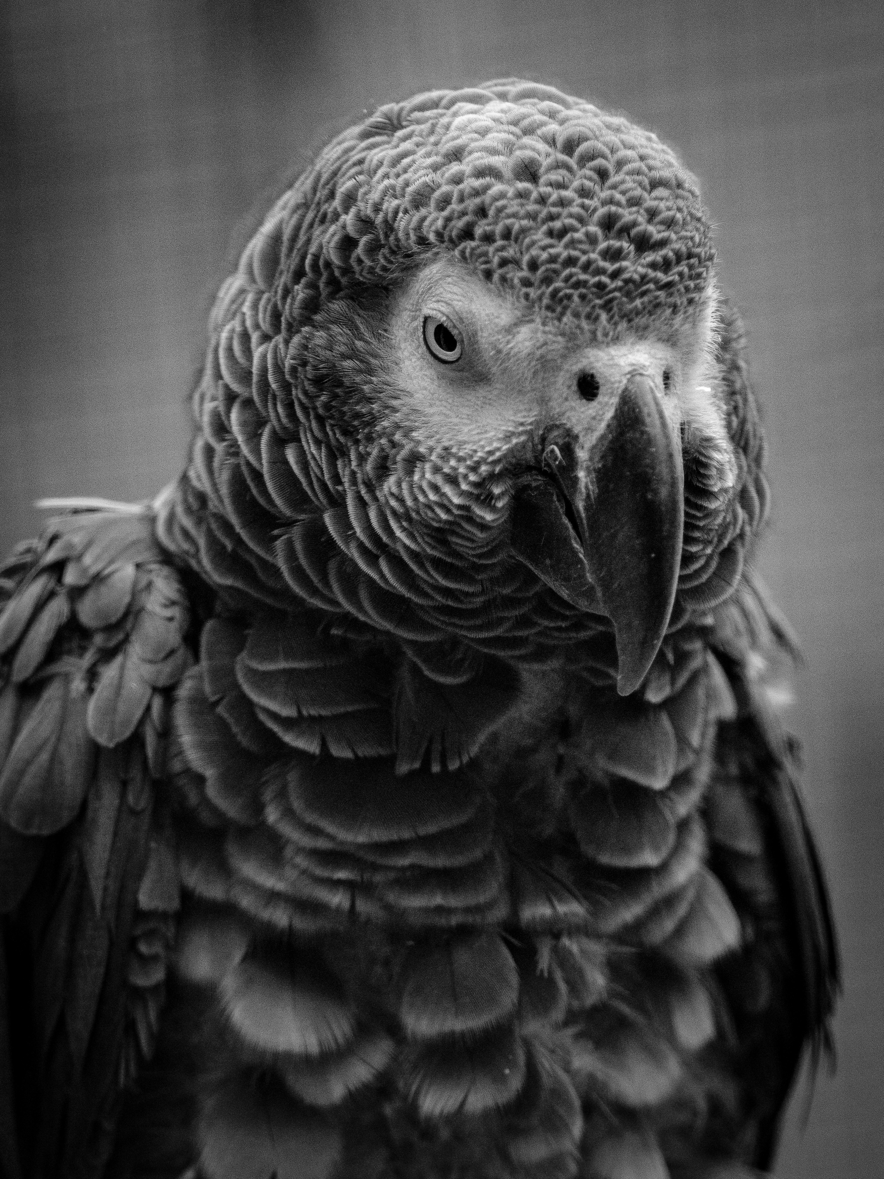 Photo by haberdoedas