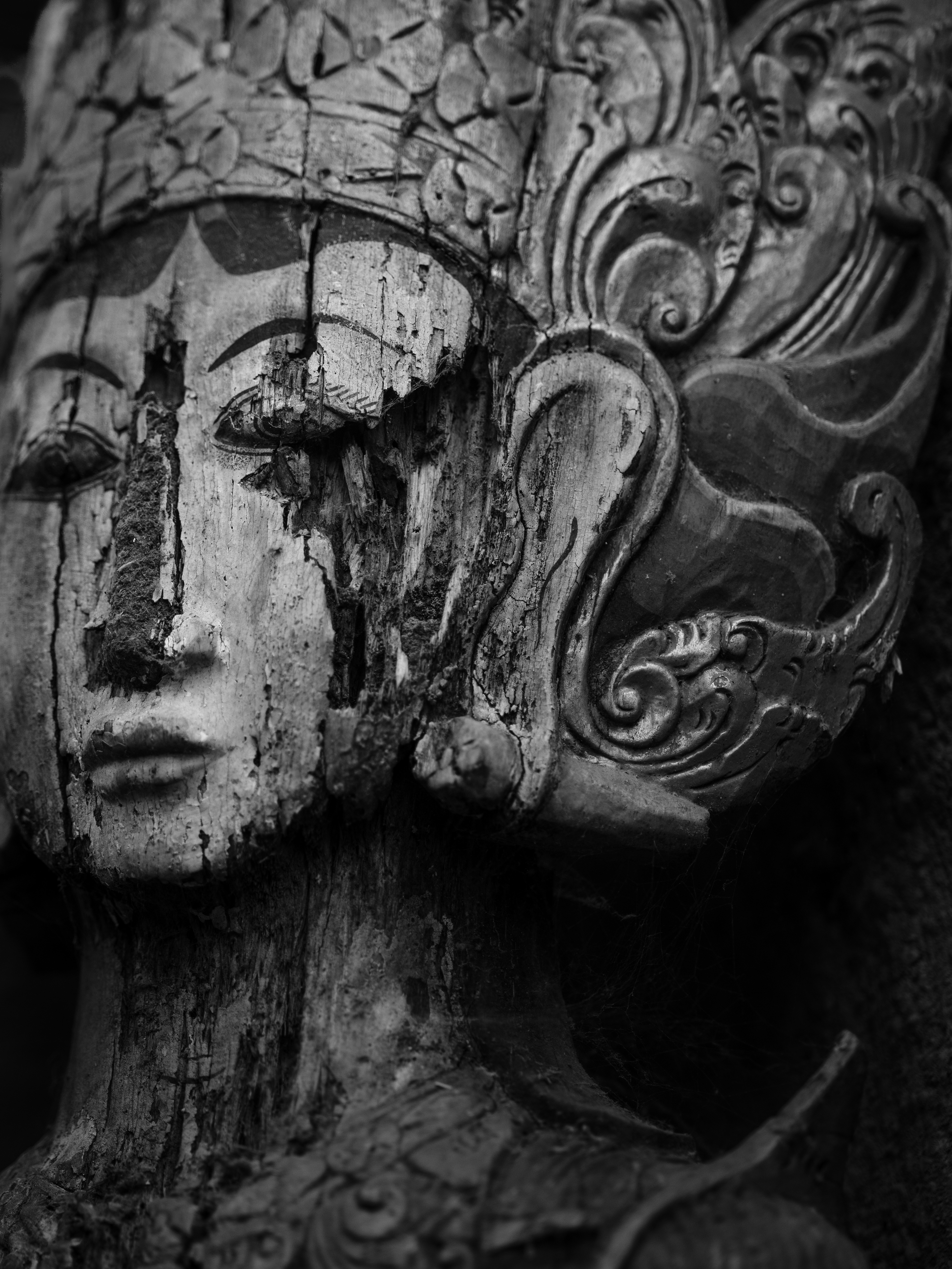 Photo by haberdoedas