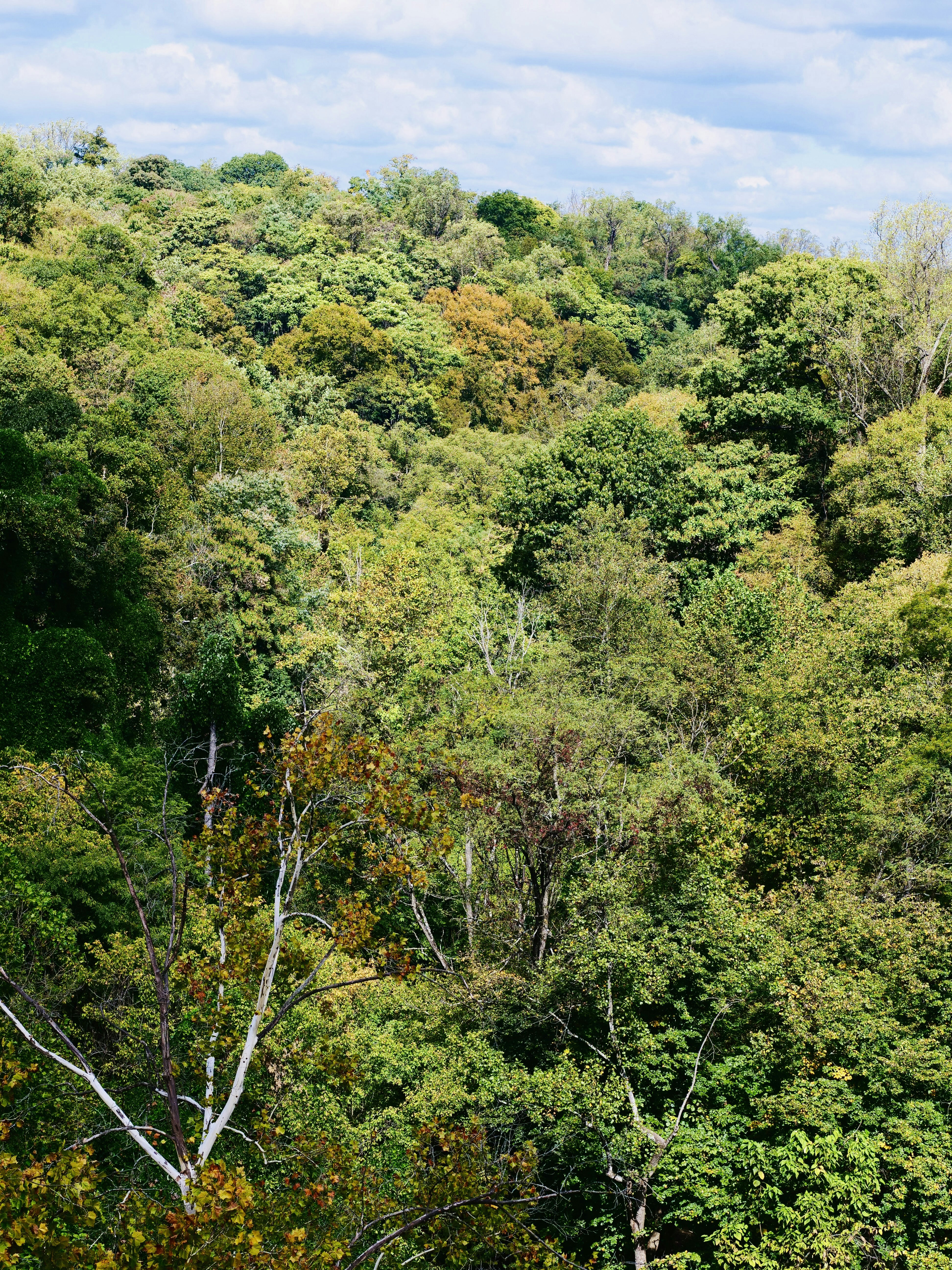 Photo by sschusterphotoart