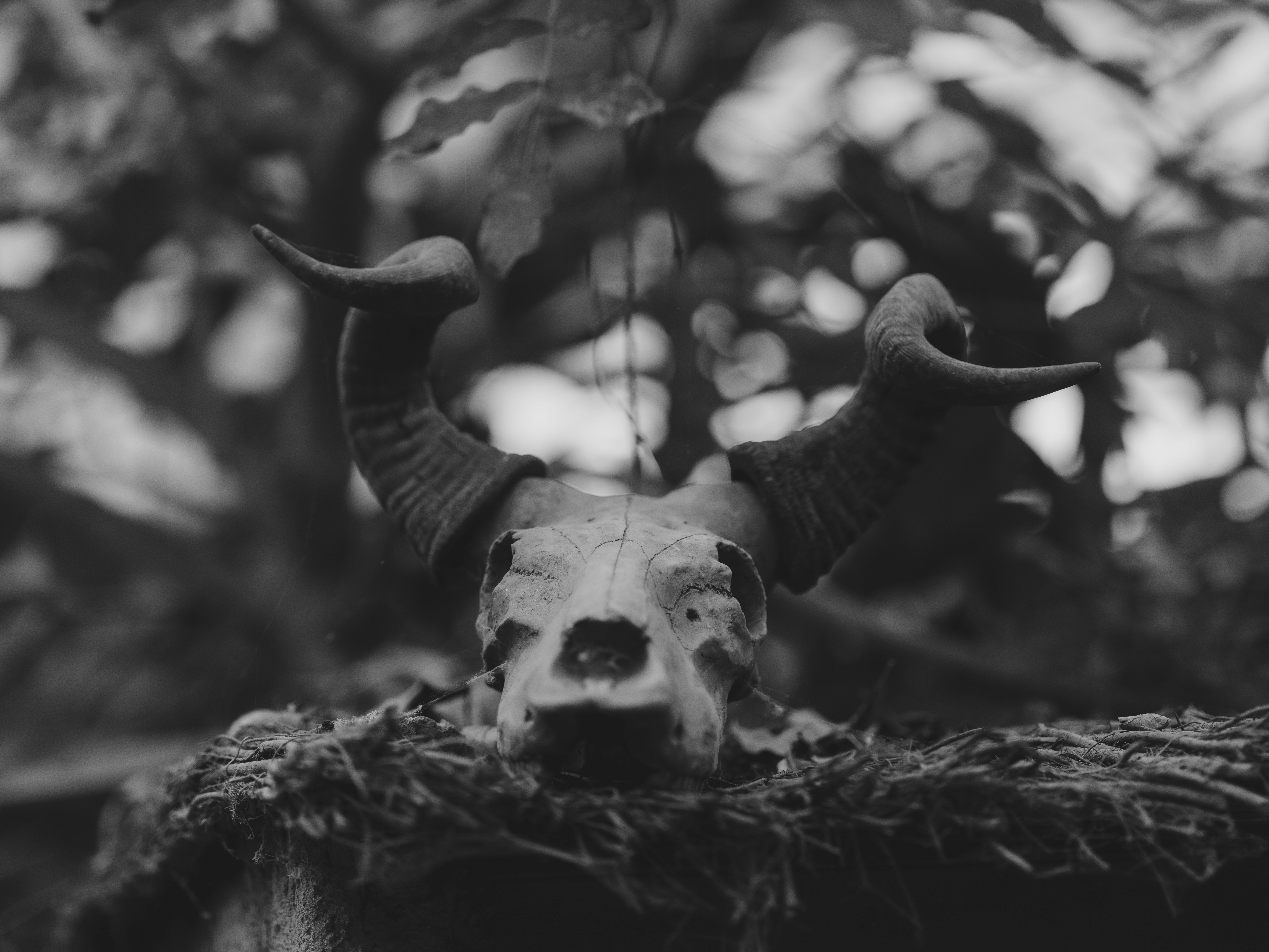 Photo by haberdoedas