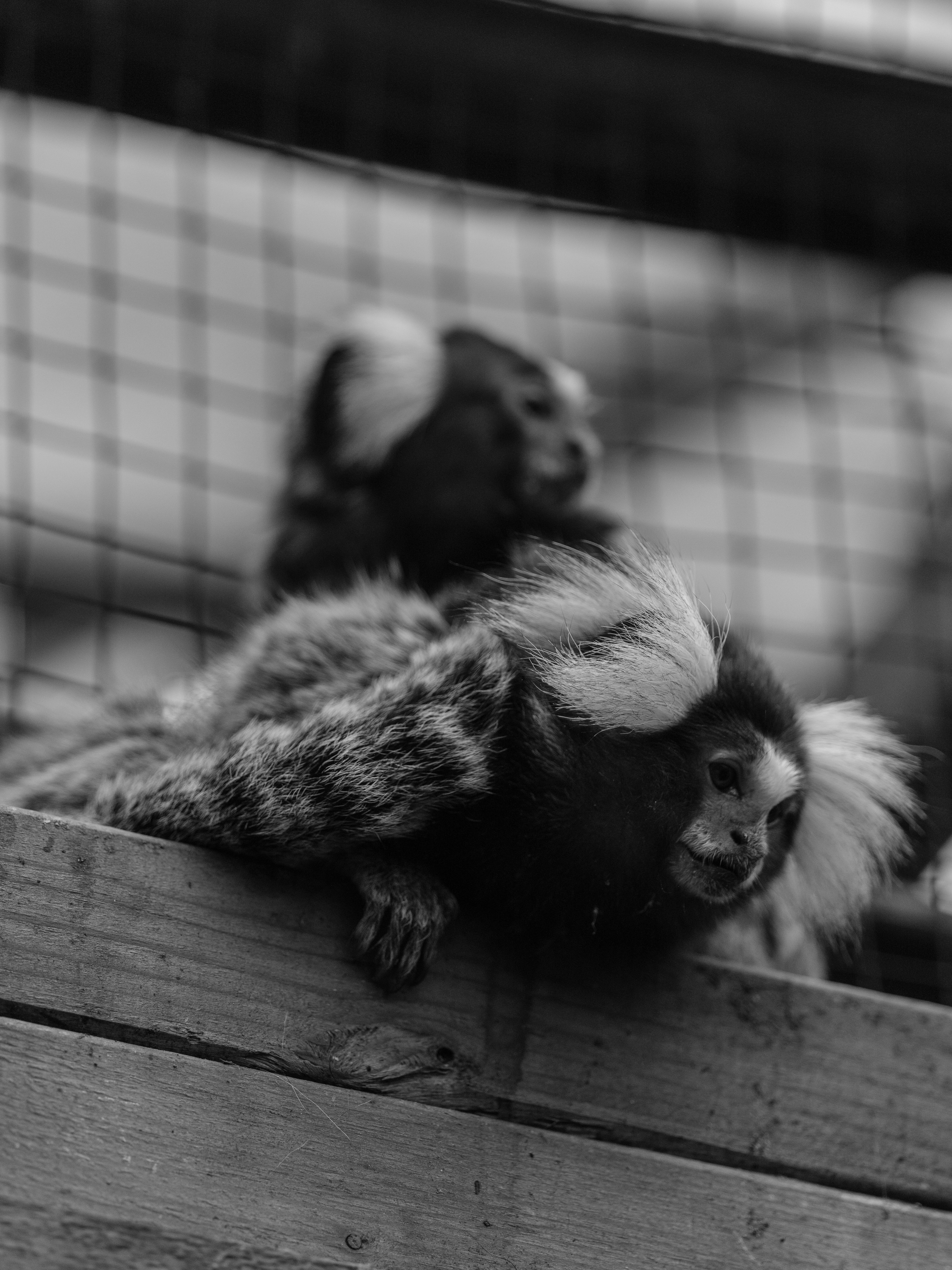 Photo by haberdoedas