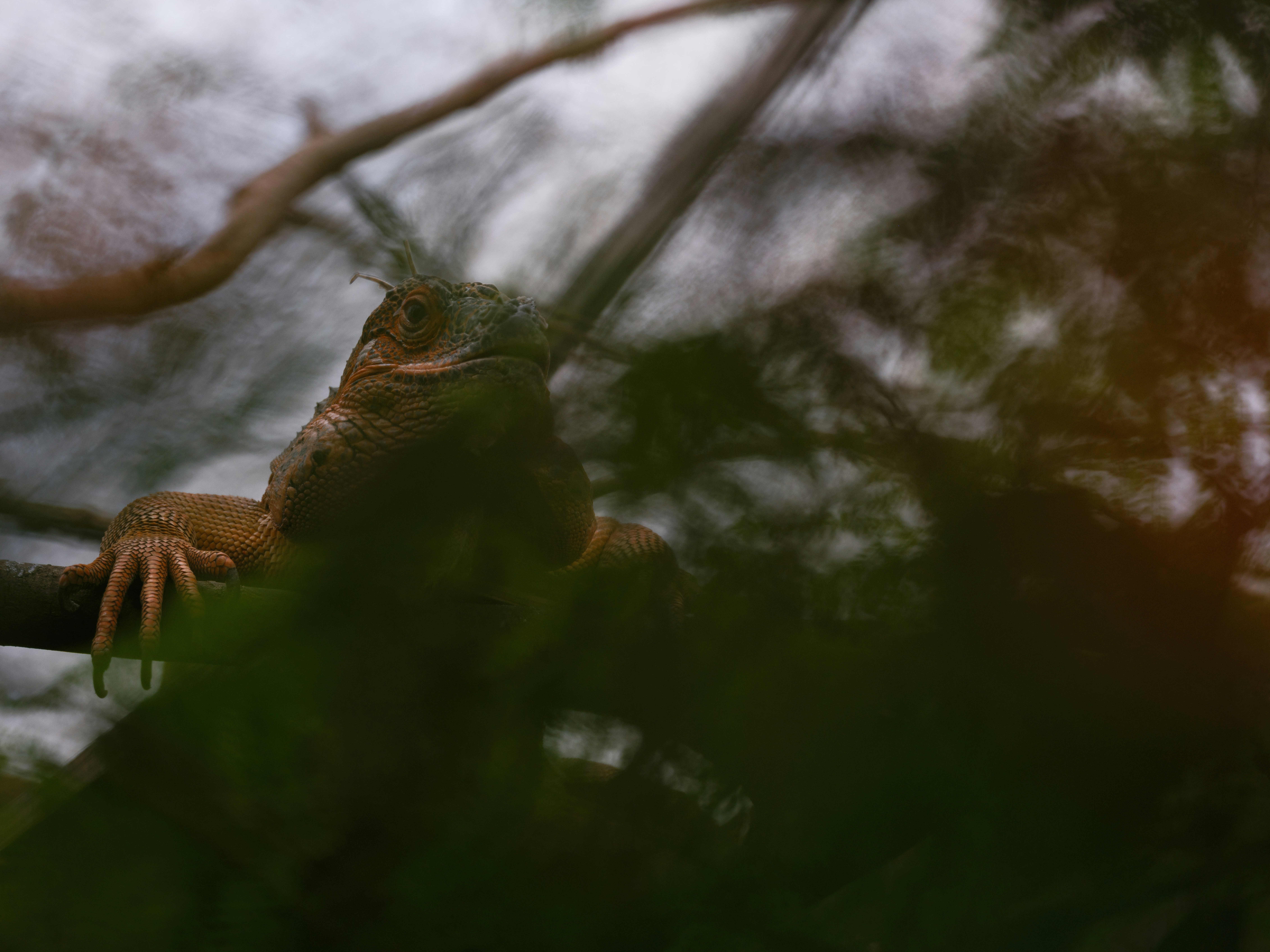 Photo by haberdoedas