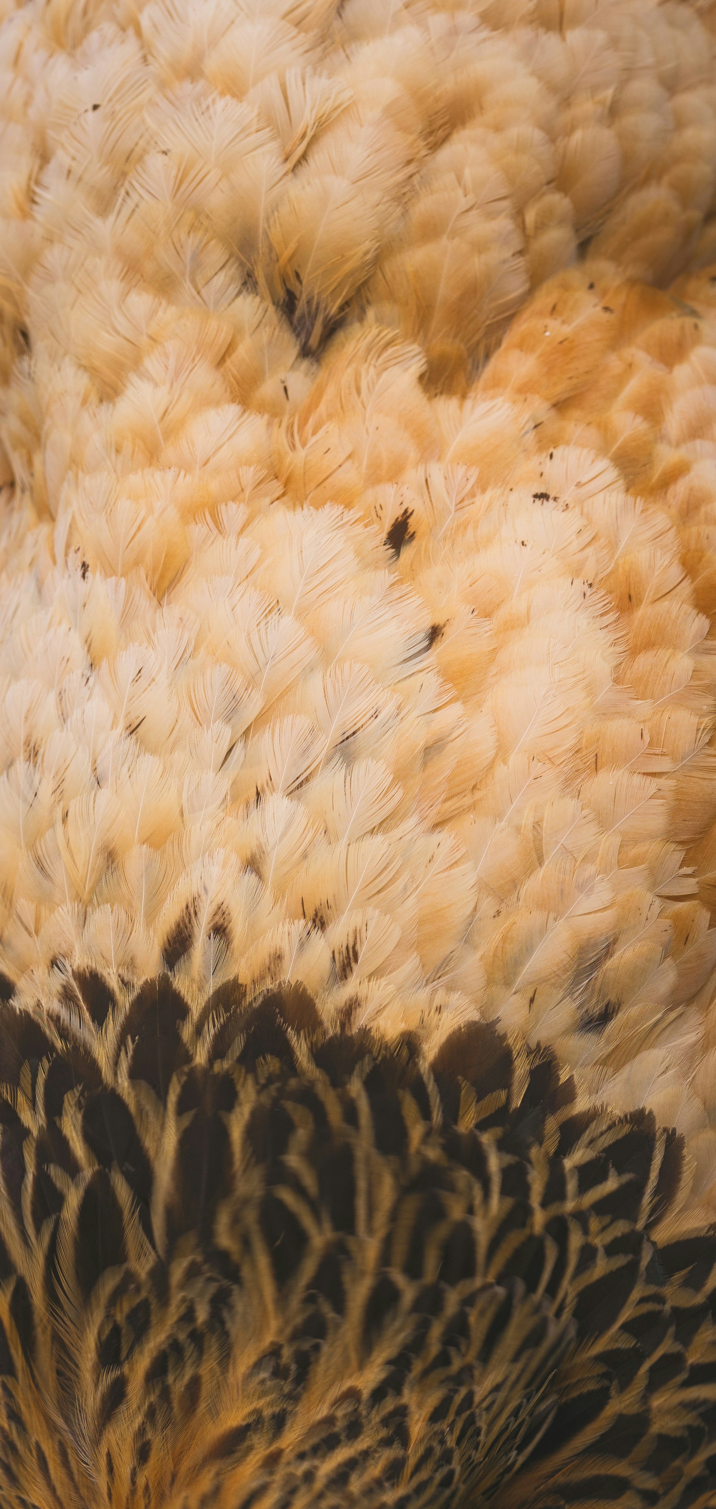 Photo by haberdoedas