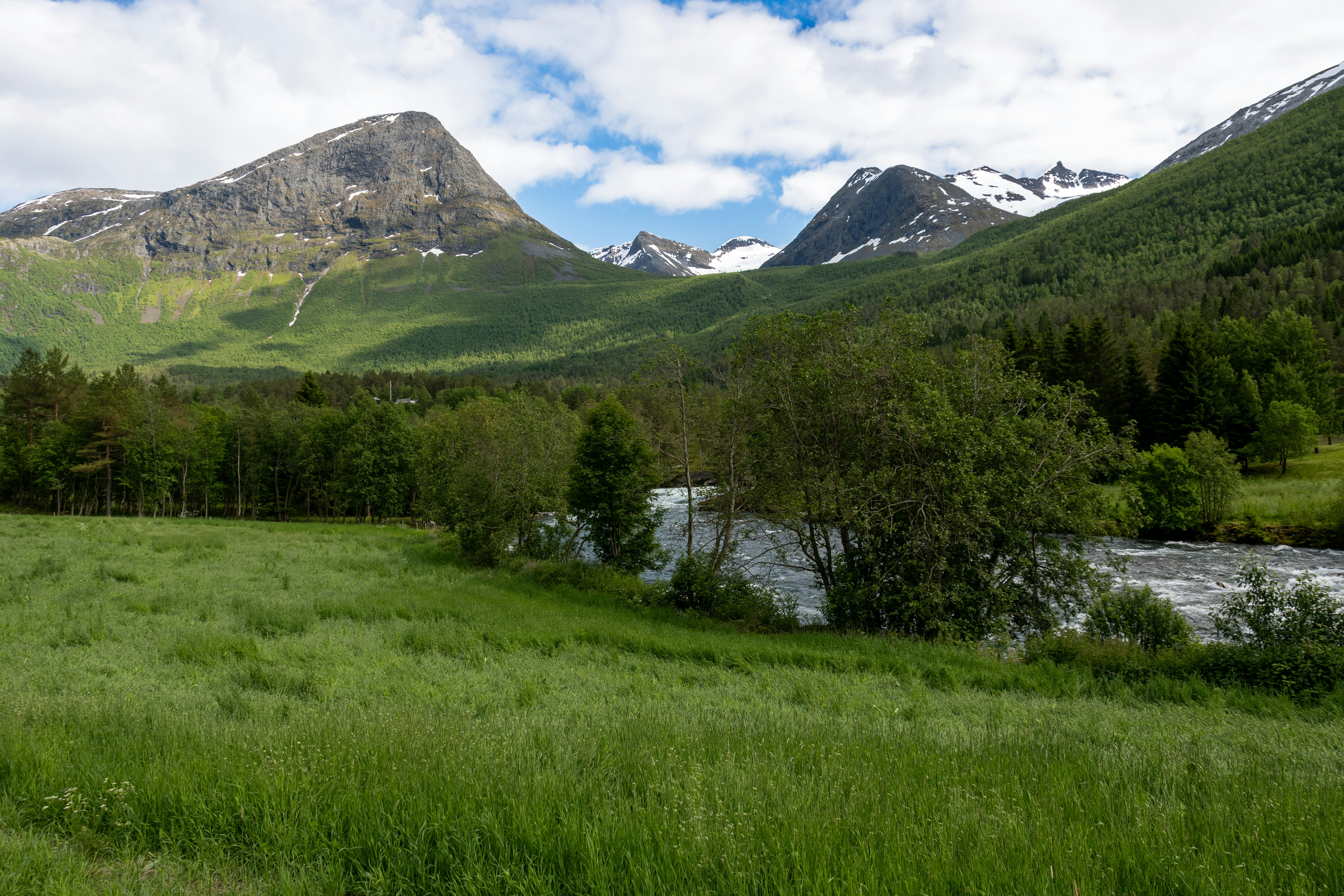 Green meadow with trees and a river near mountains.