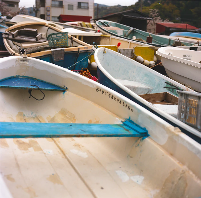 Boats at the dock