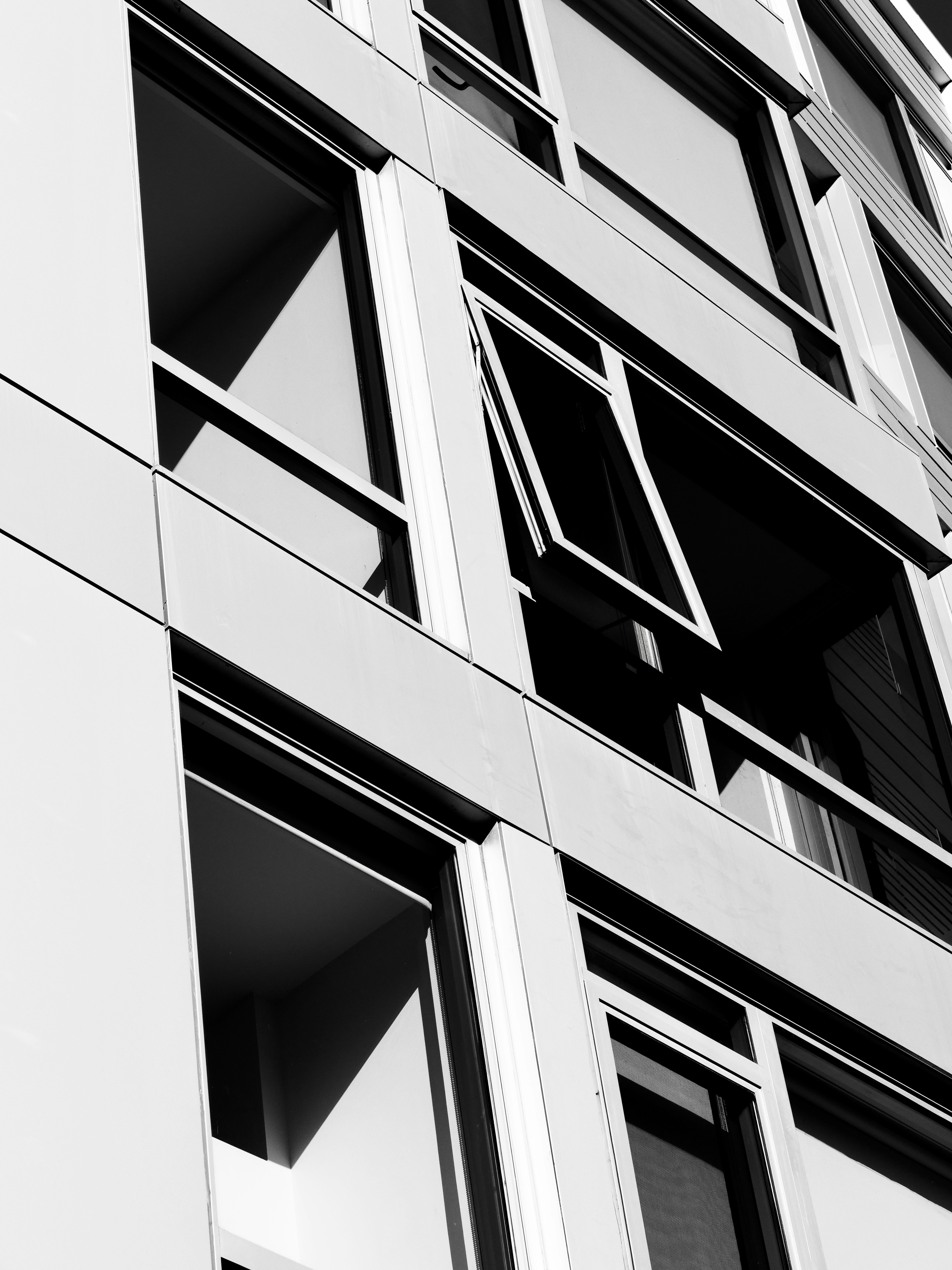 Photo by sschusterphotoart