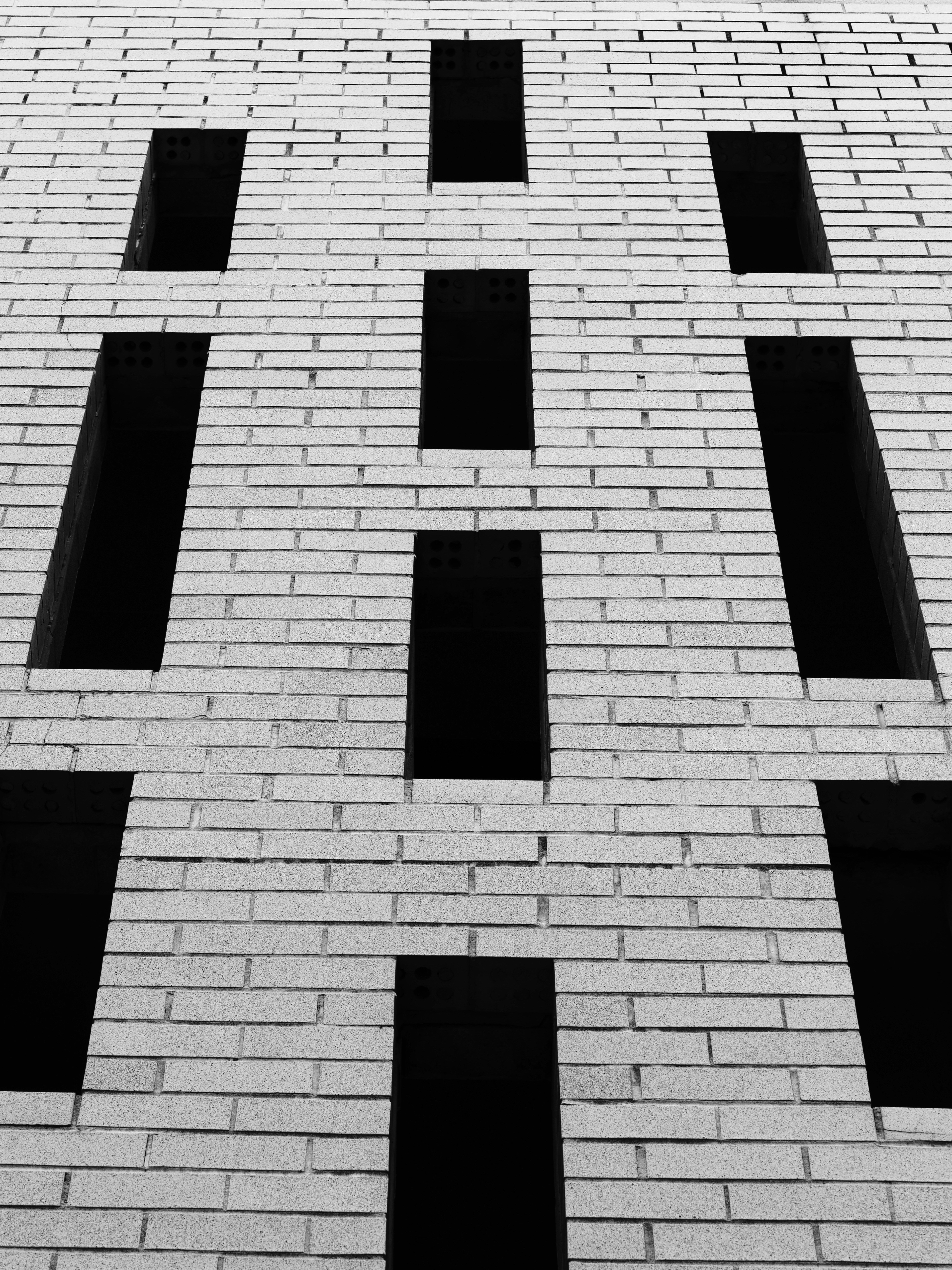 Photo by sschusterphotoart