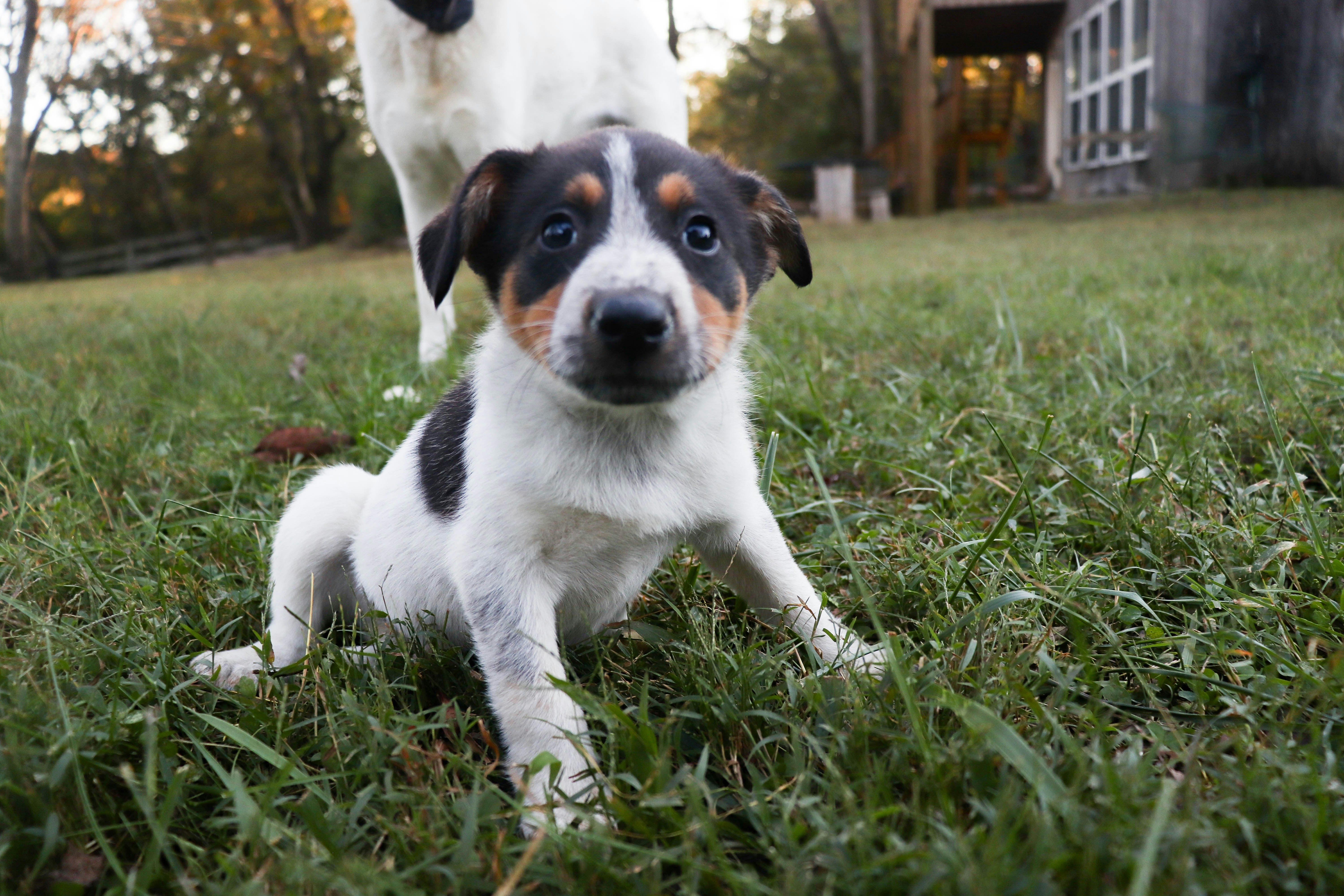 Photo by lroberts067