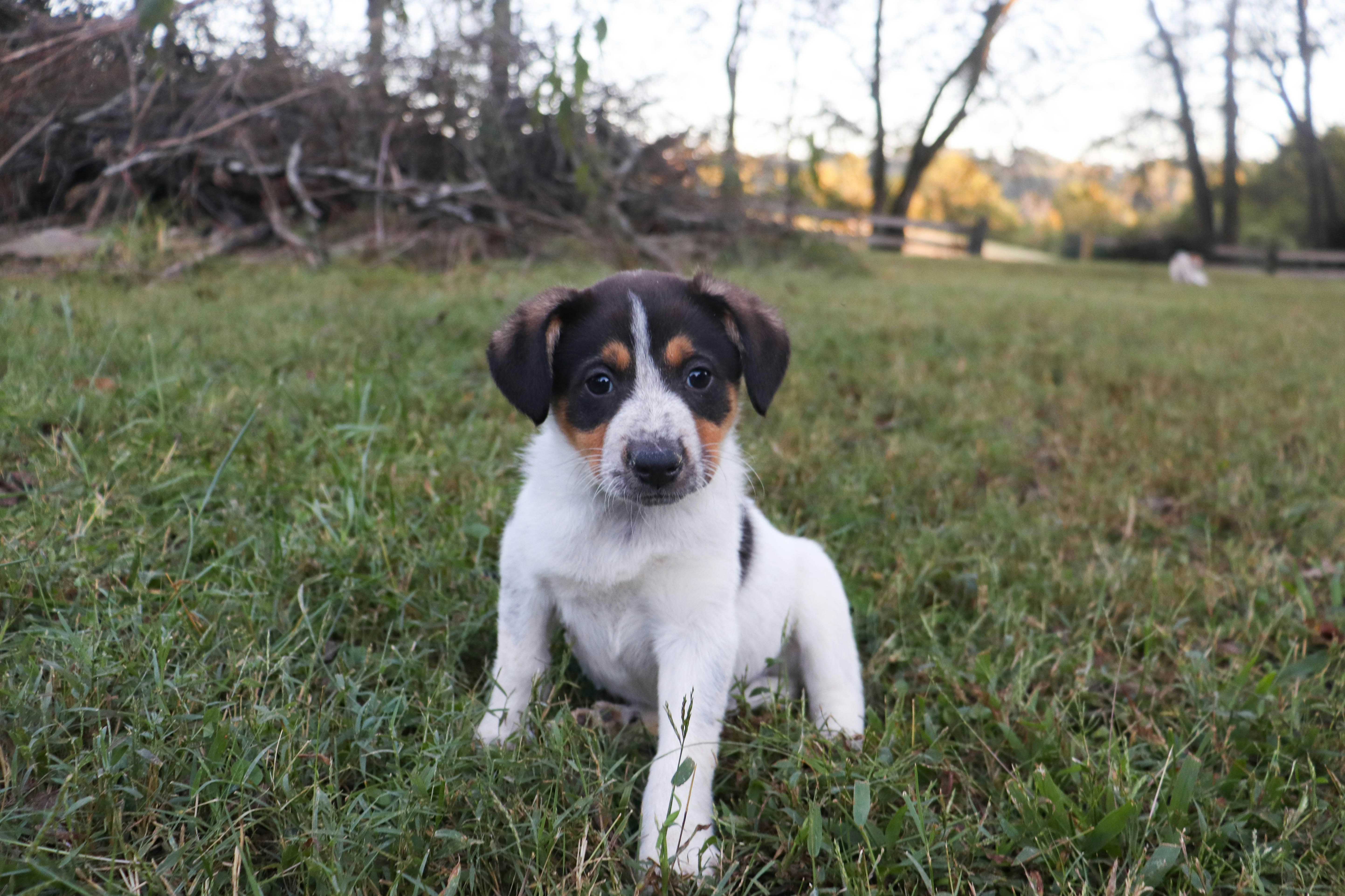 Photo by lroberts067