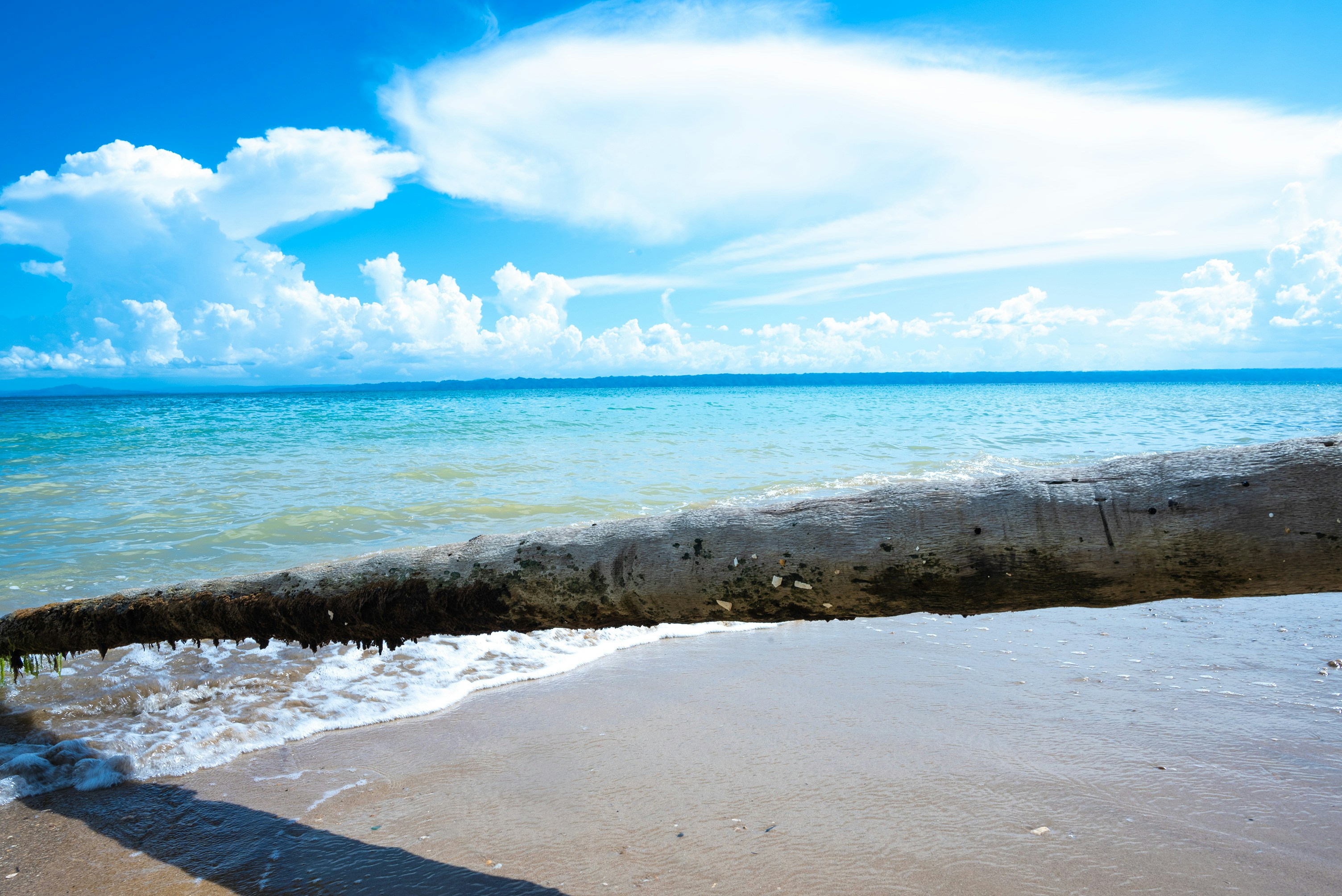 Photo by omarefreelancer