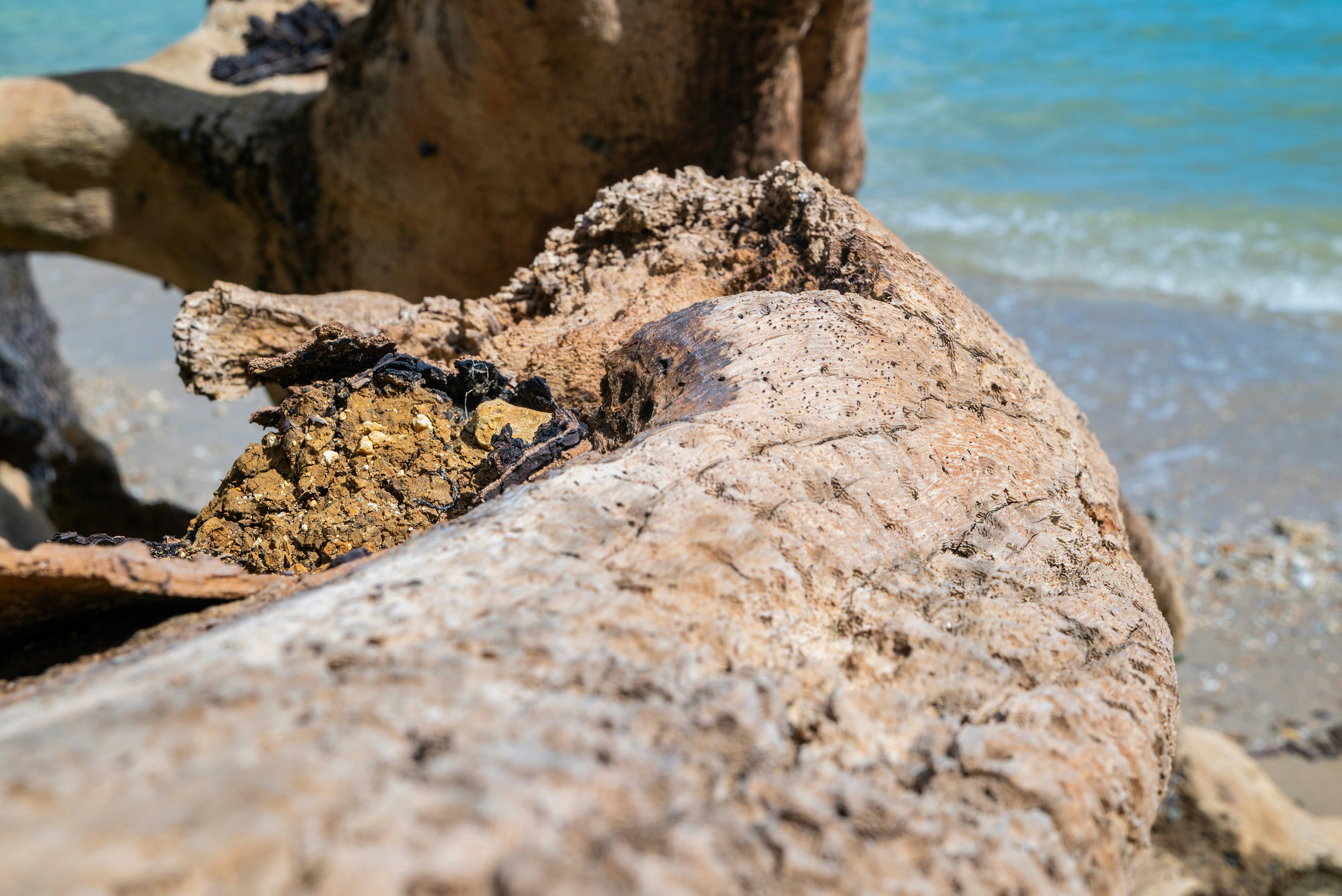 Photo by omarefreelancer