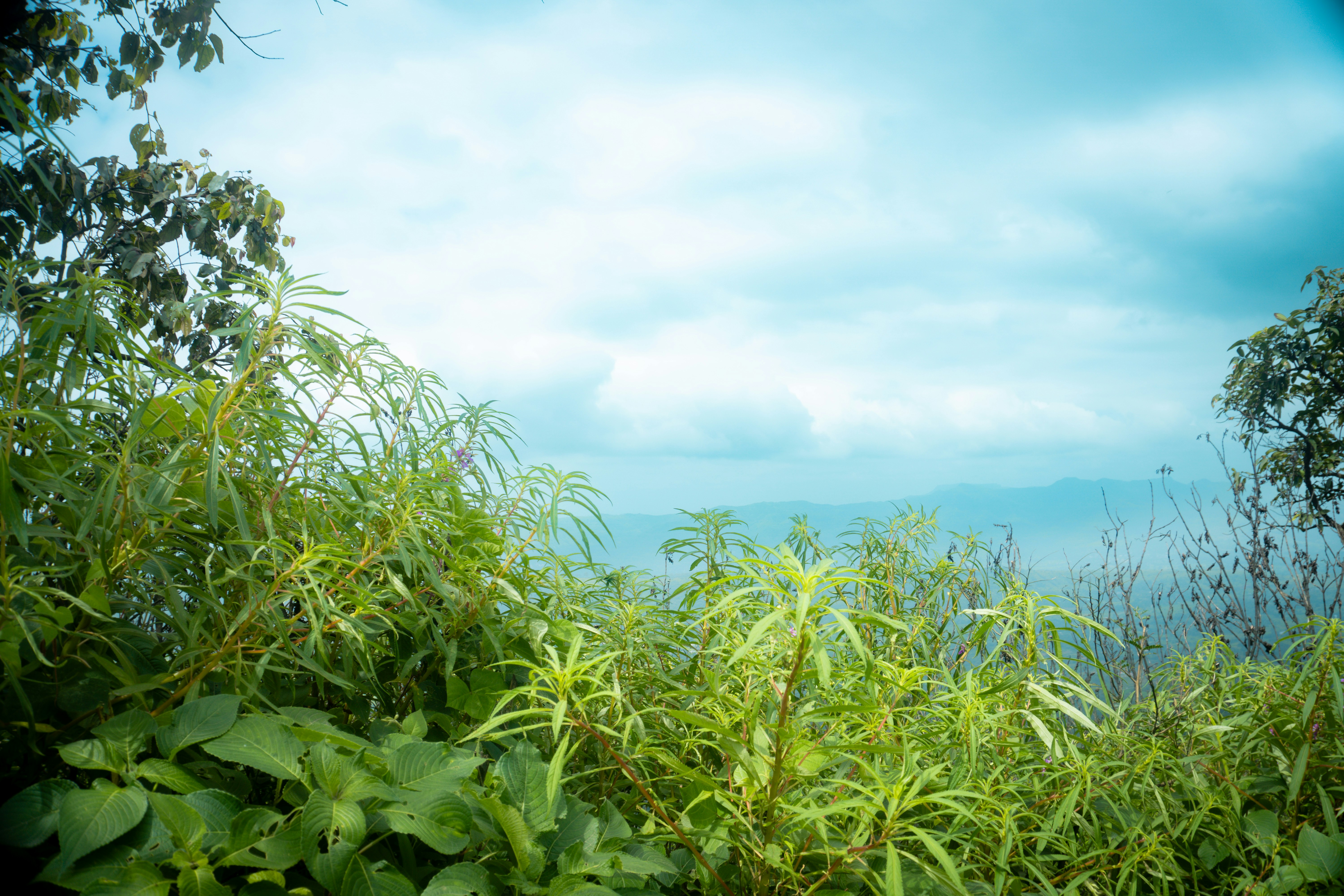 Photo by 123sani_qwe