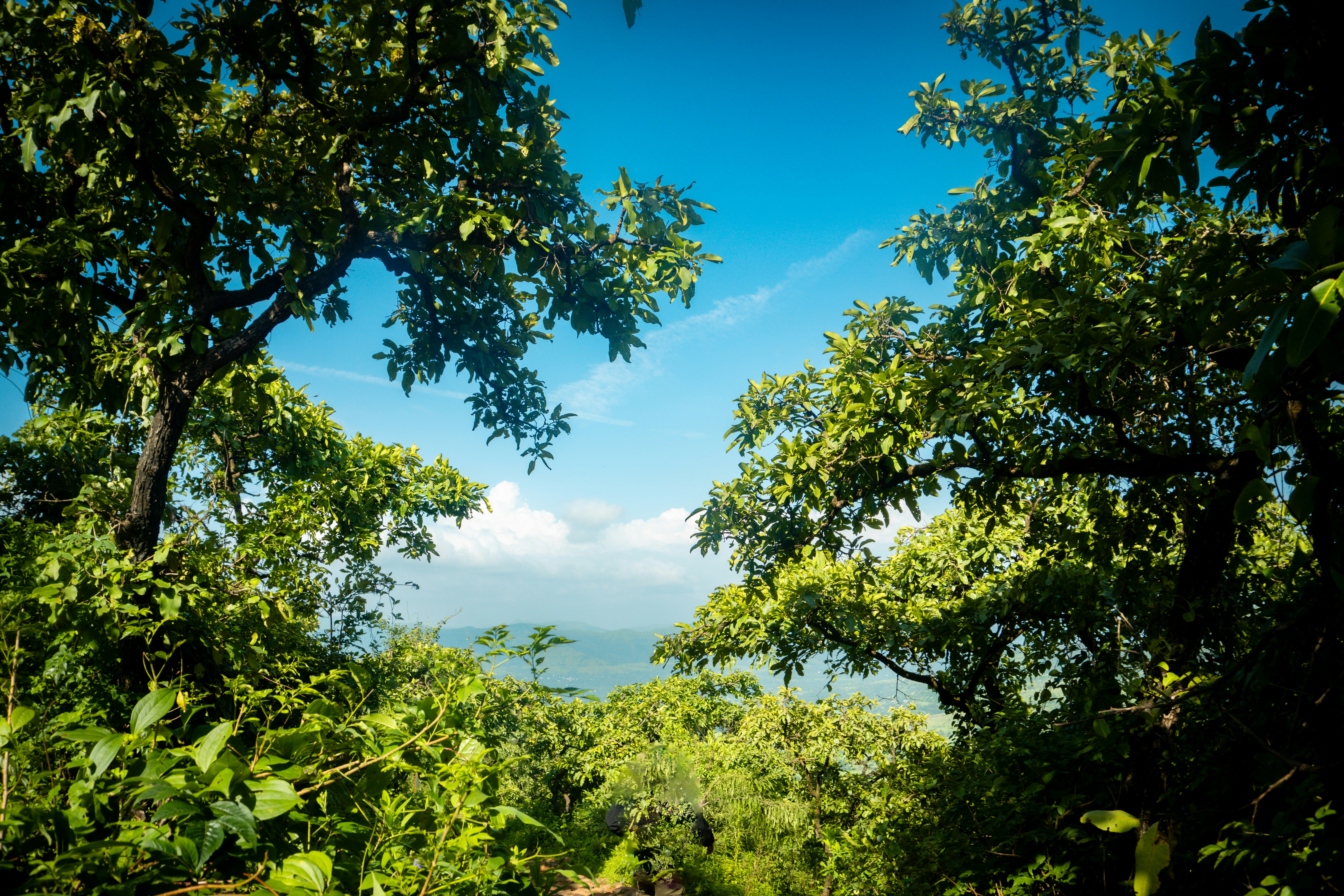 Photo by 123sani_qwe