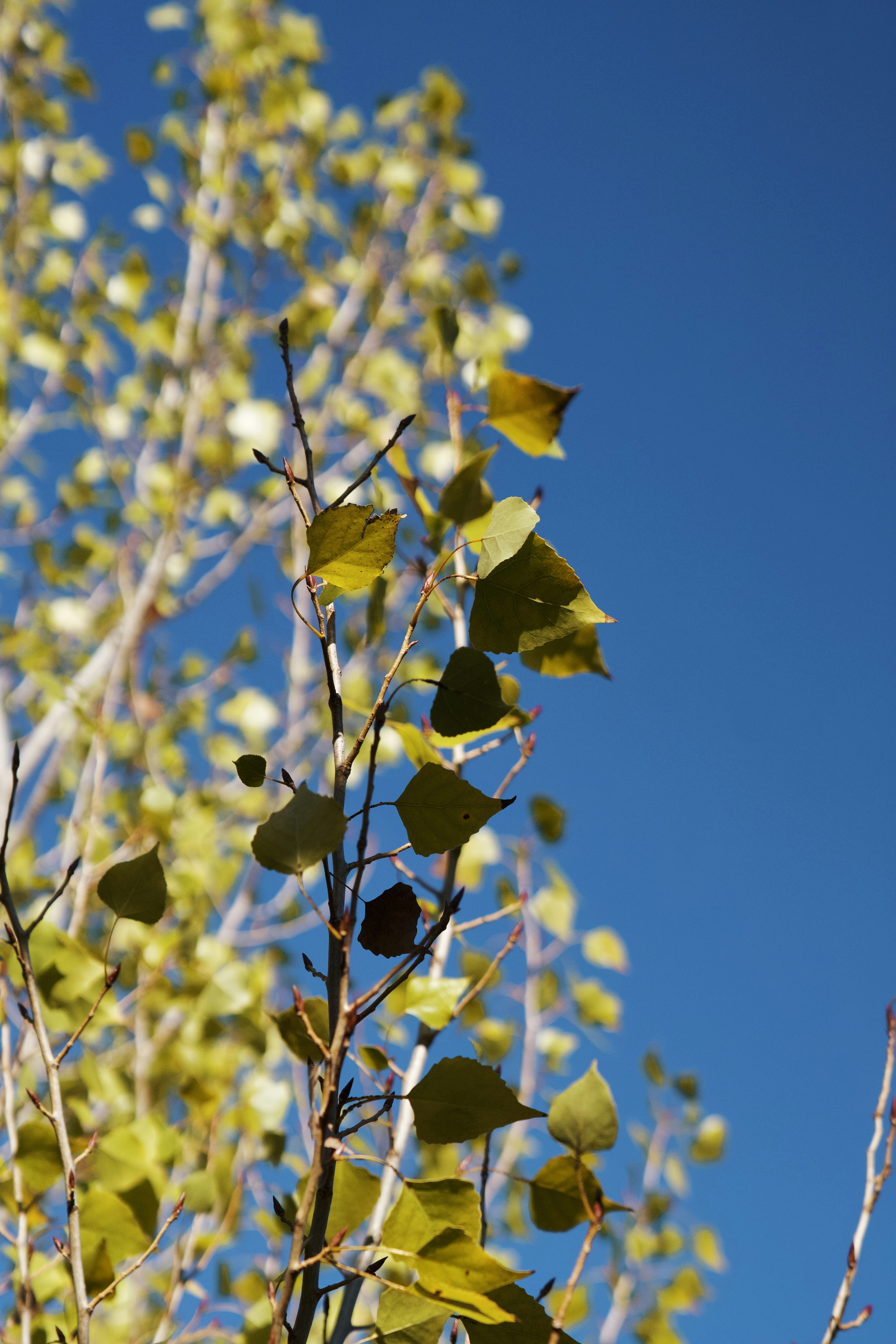 Photo by spencer_demera