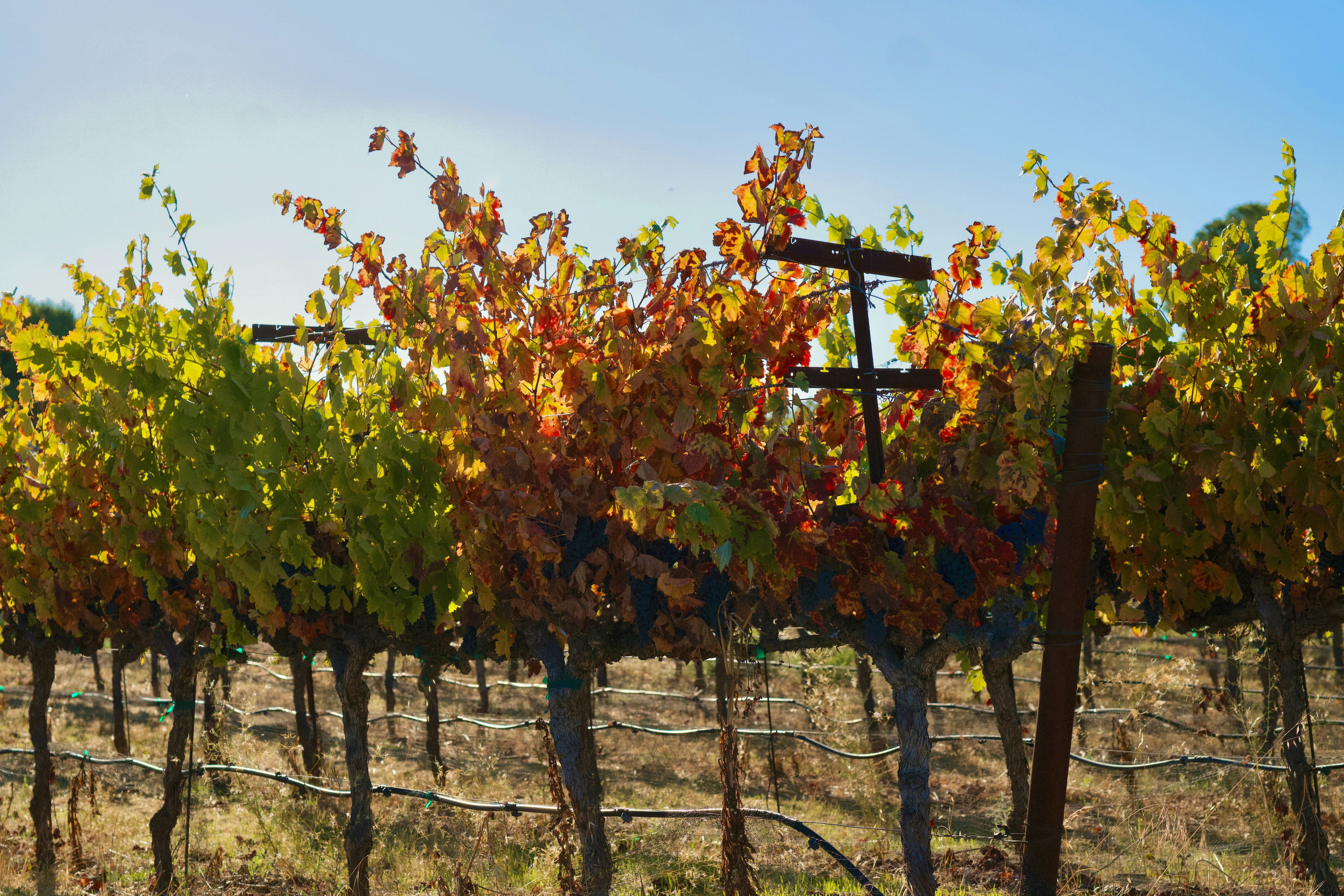 Photo by spencer_demera