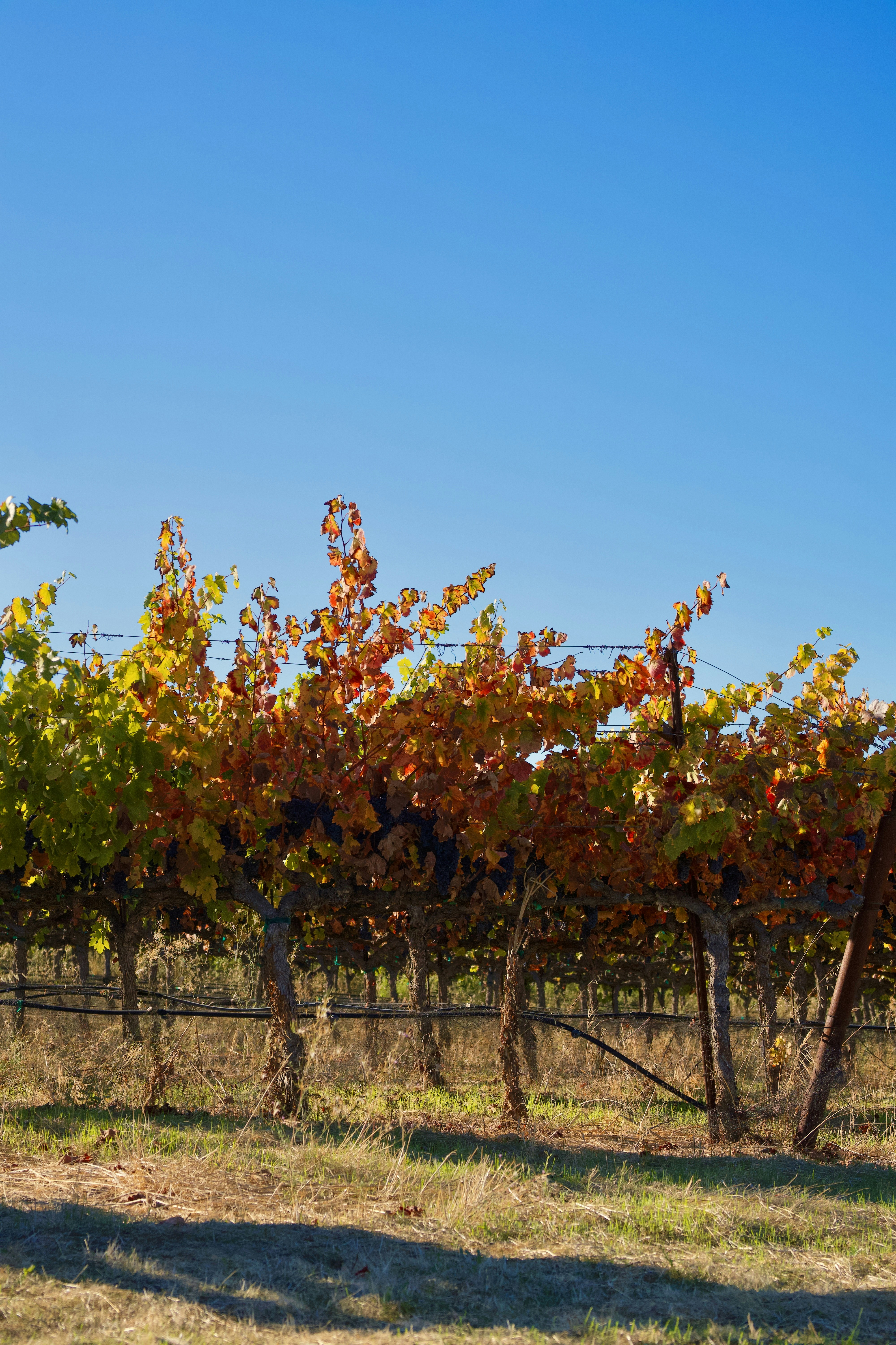 Photo by spencer_demera