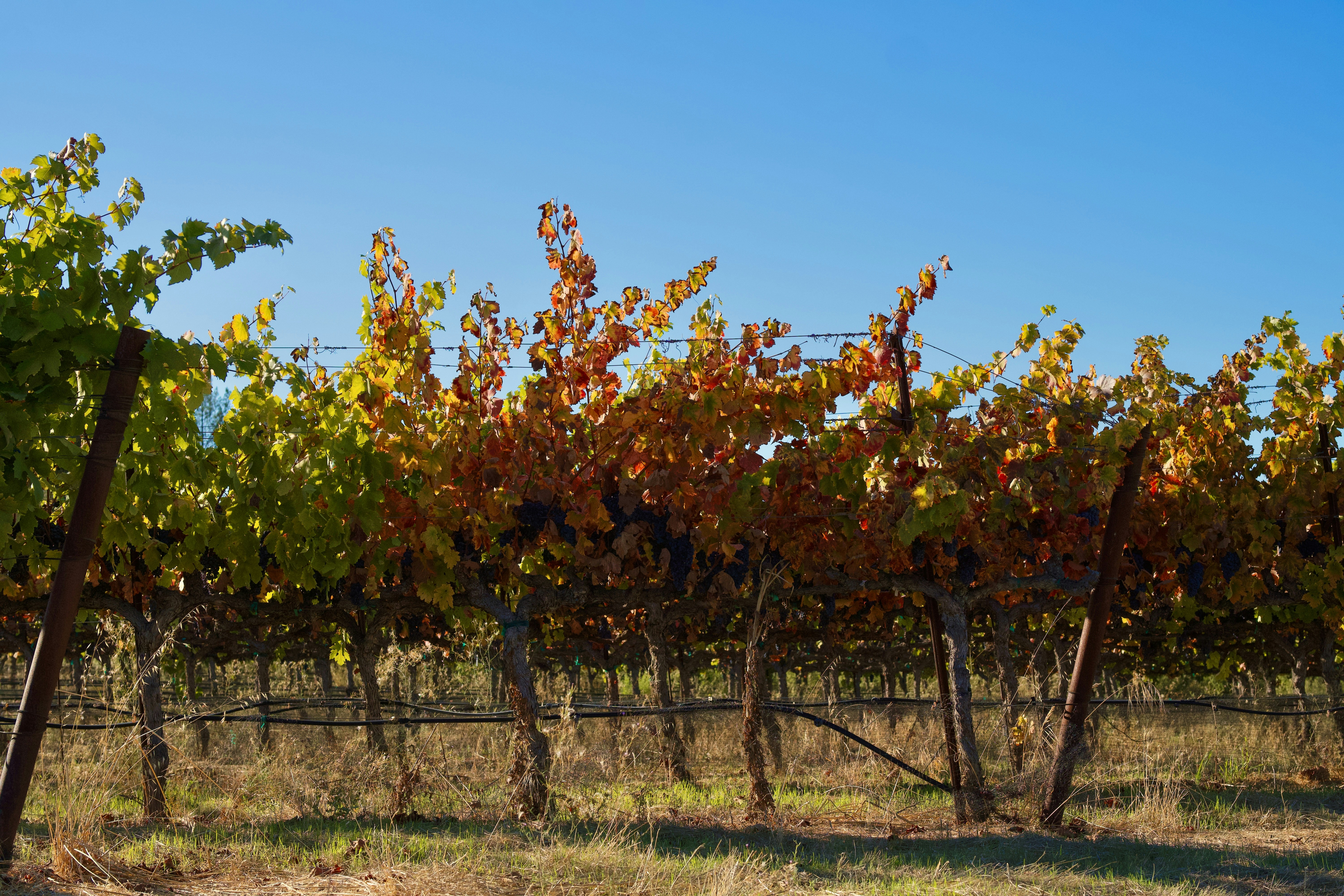 Photo by spencer_demera