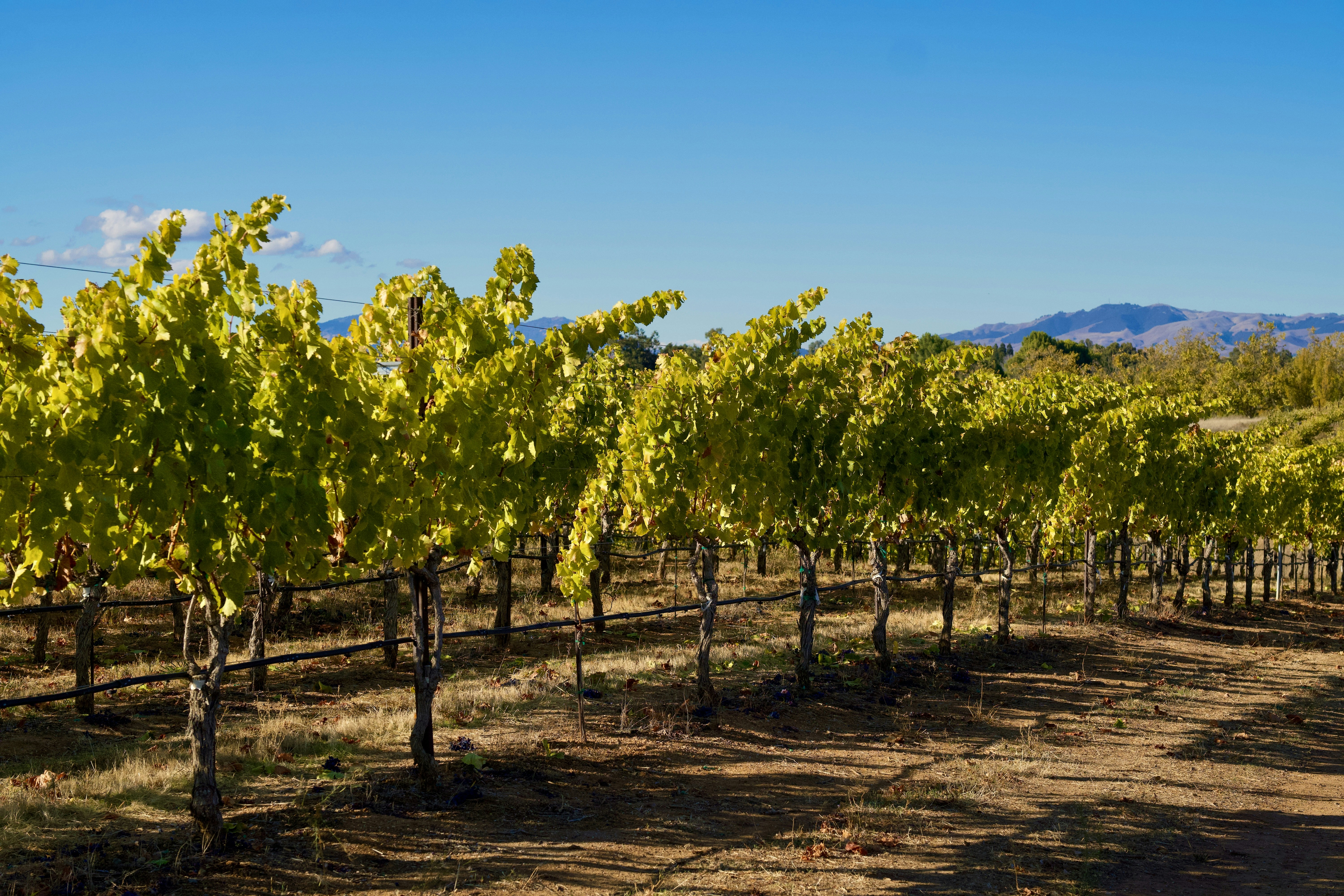 Photo by spencer_demera