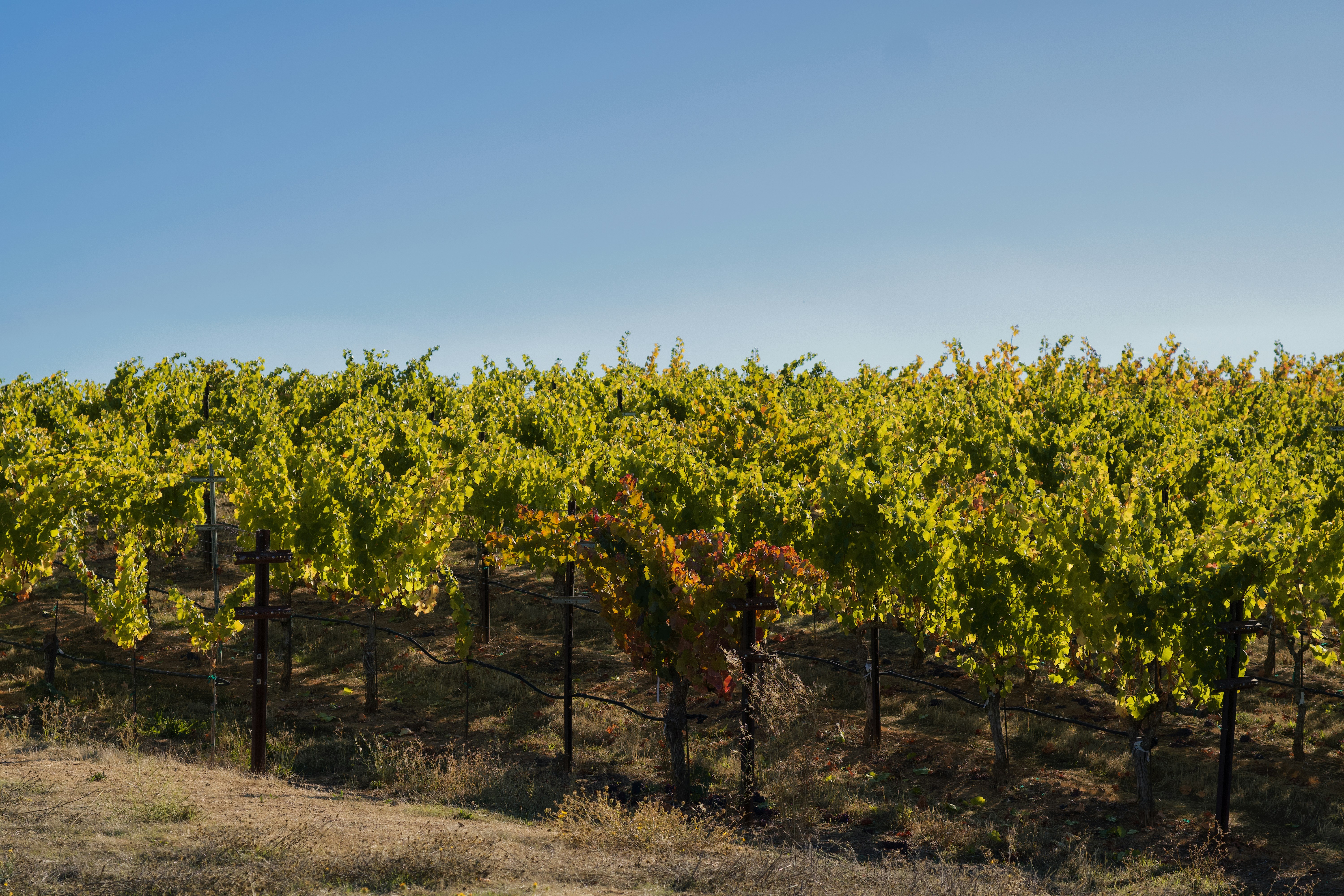 Photo by spencer_demera