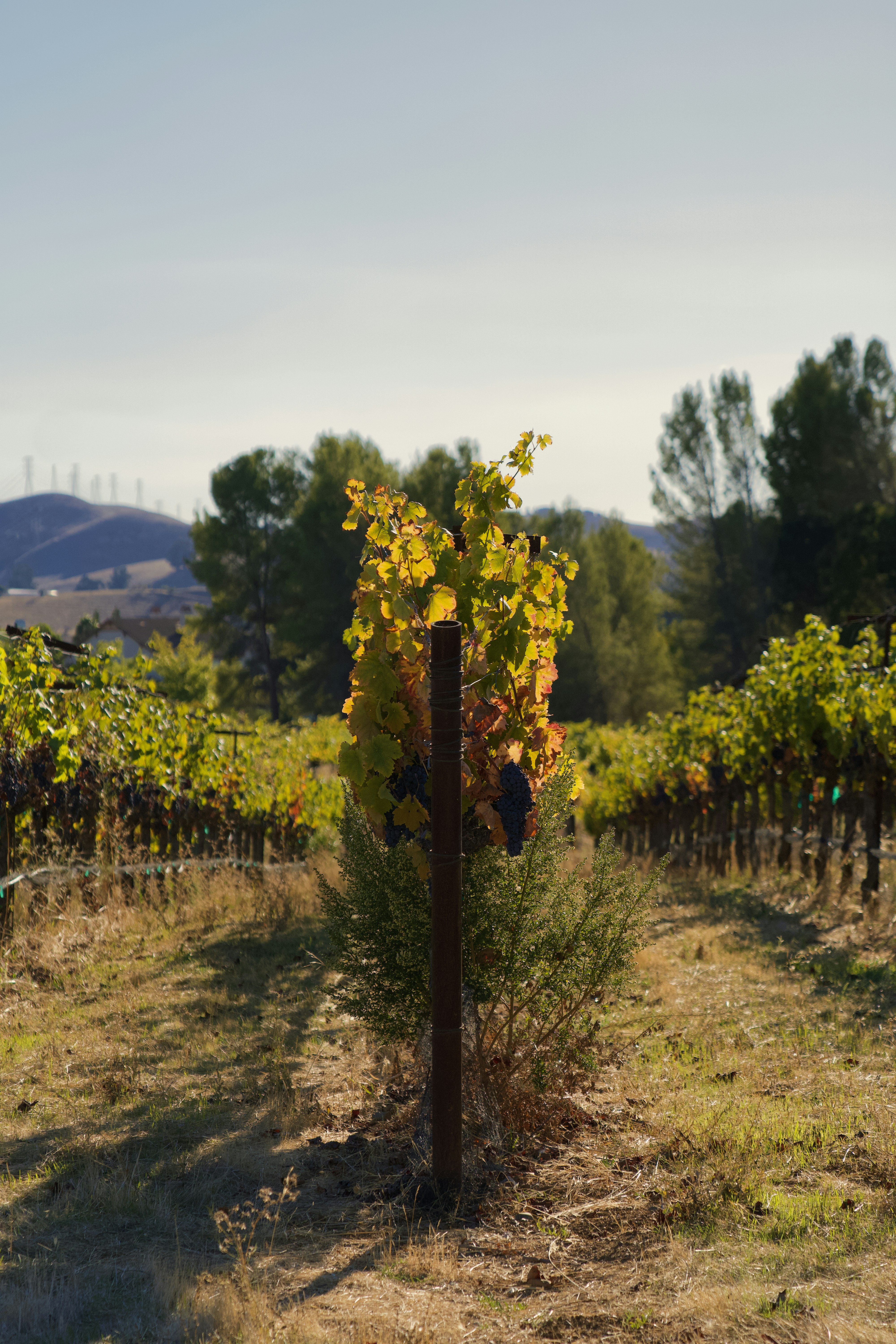 Photo by spencer_demera