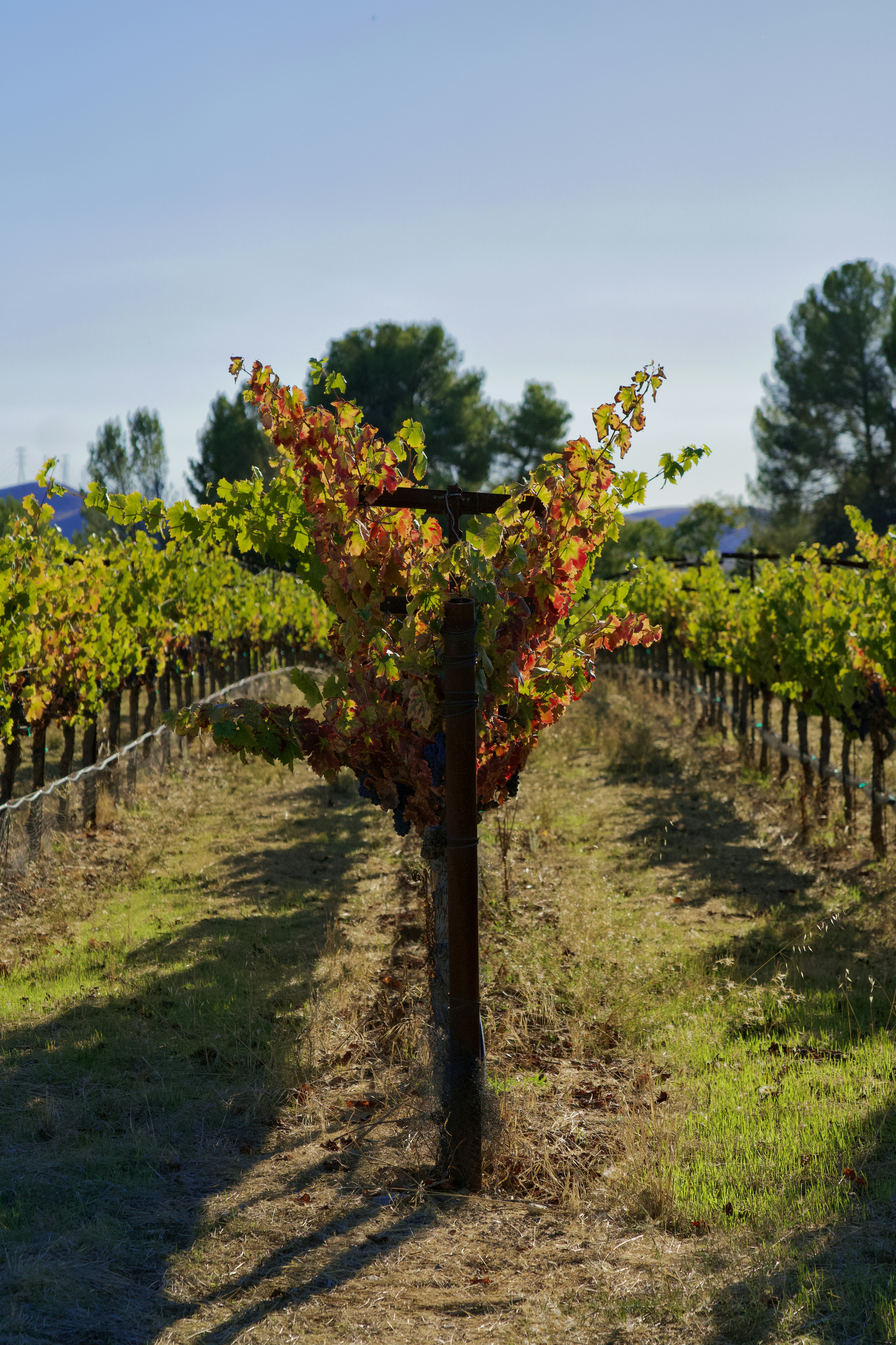 Photo by spencer_demera