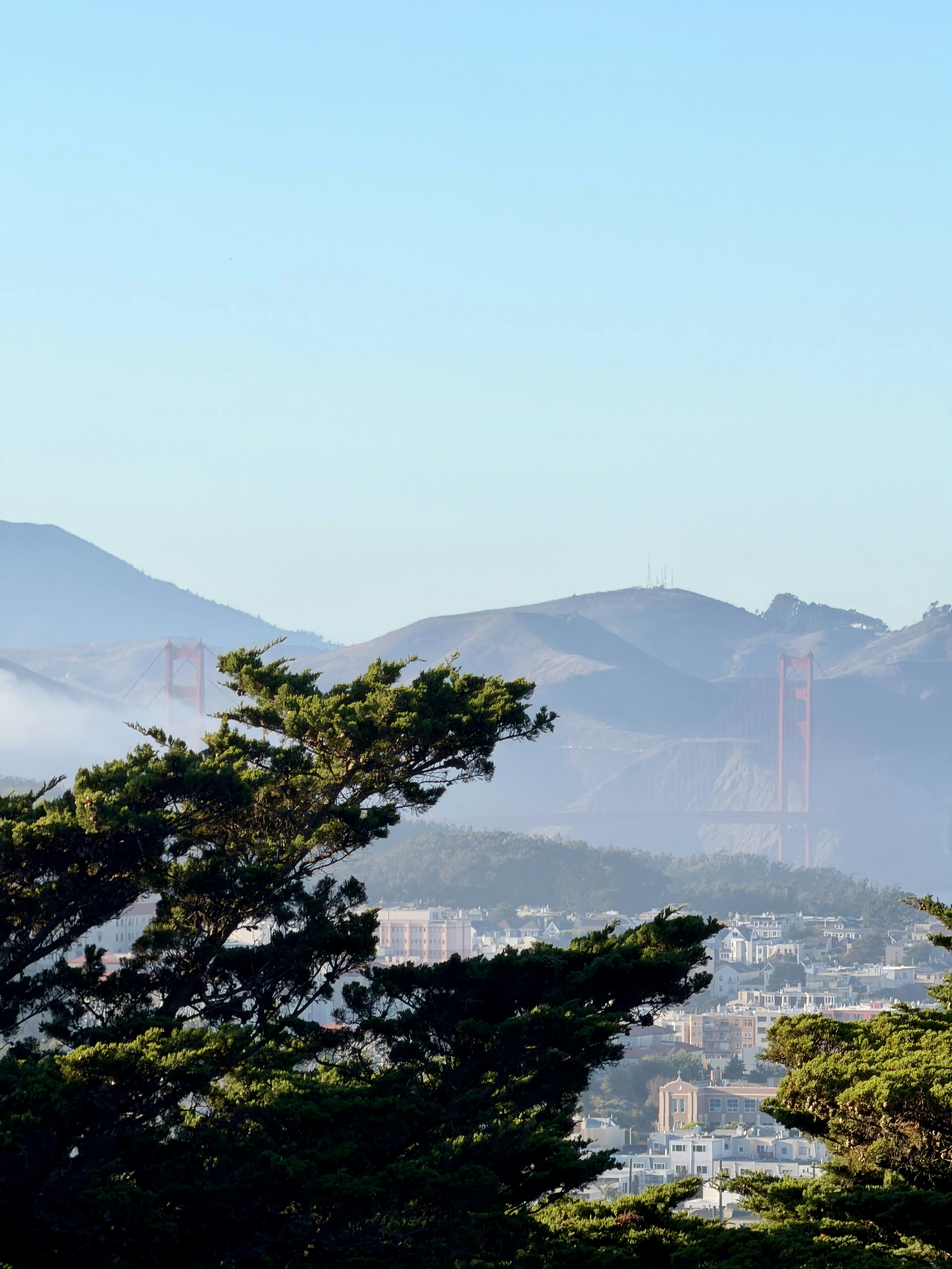 Photo by marcosjgarcia