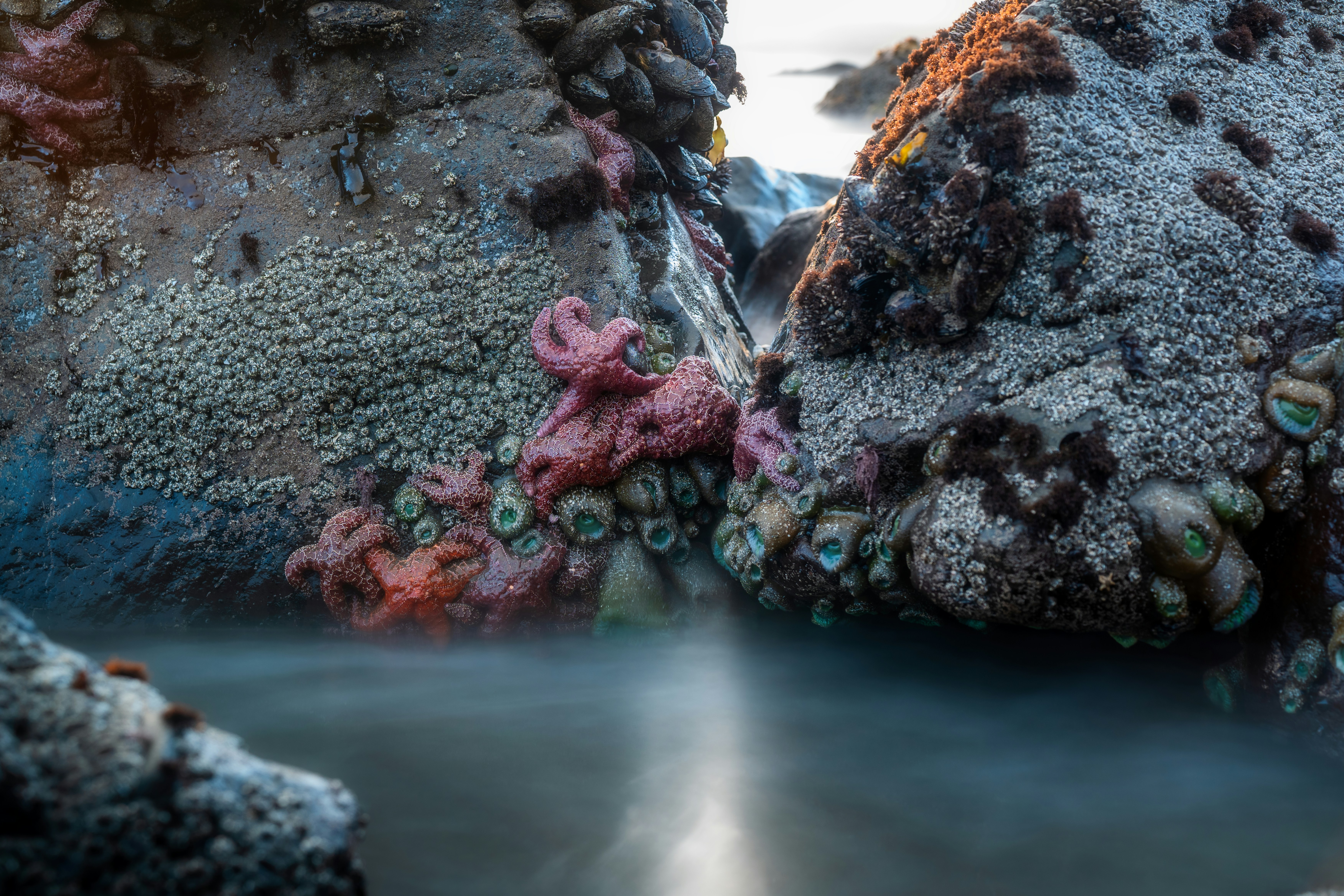 Agentic AI Revolutionizing Cybersecurity & Application Security