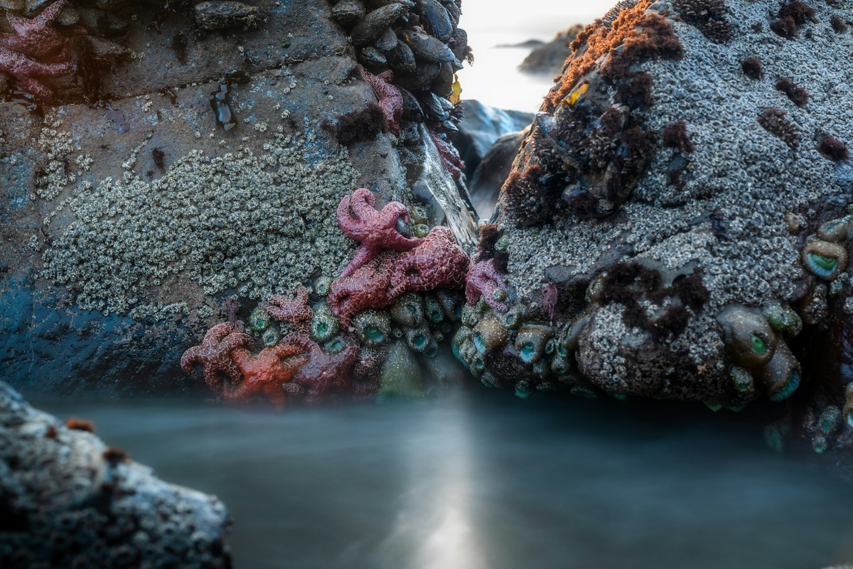 photo by Venti Views (@ventiviews) on unsplash