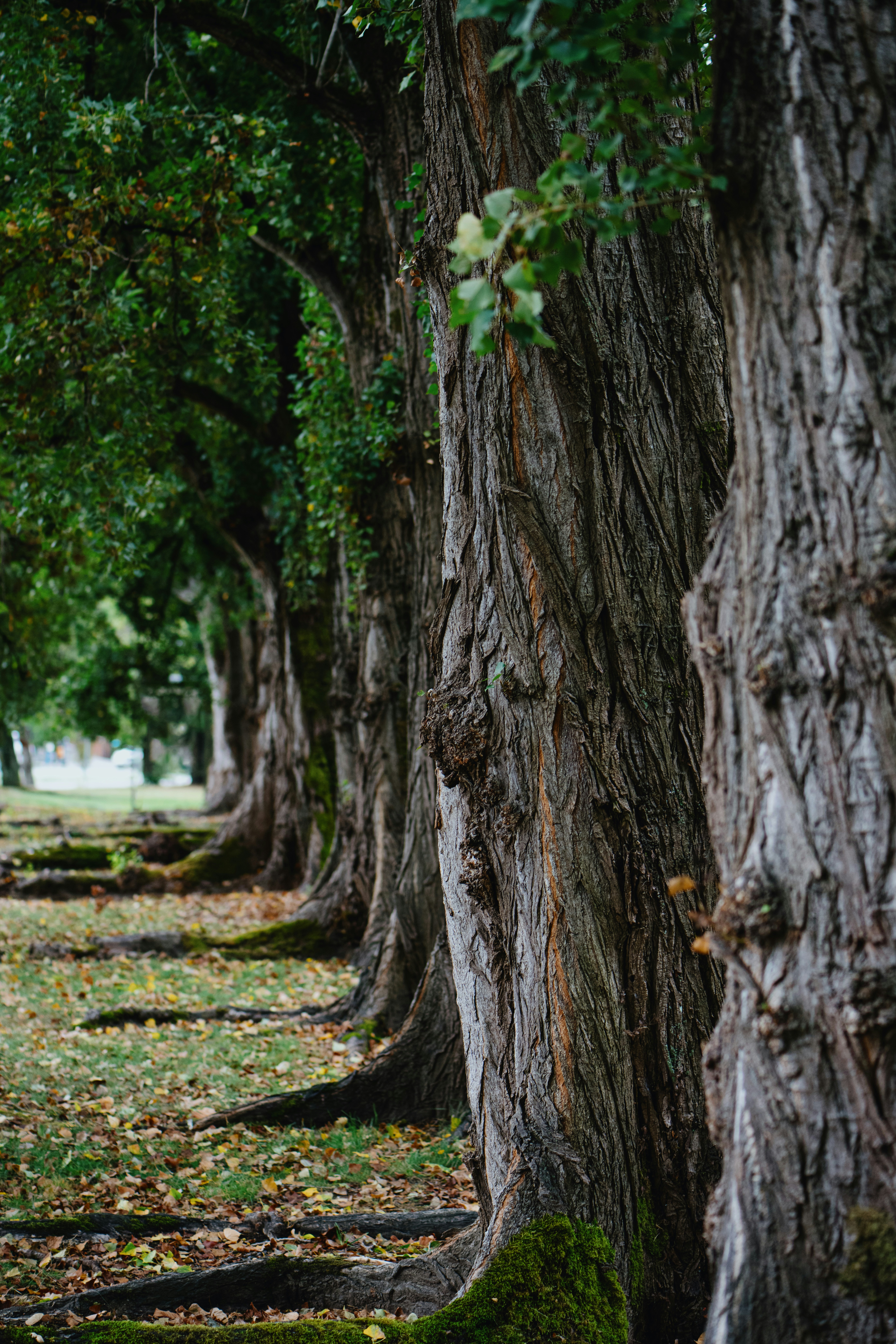 Photo by ericstoynov