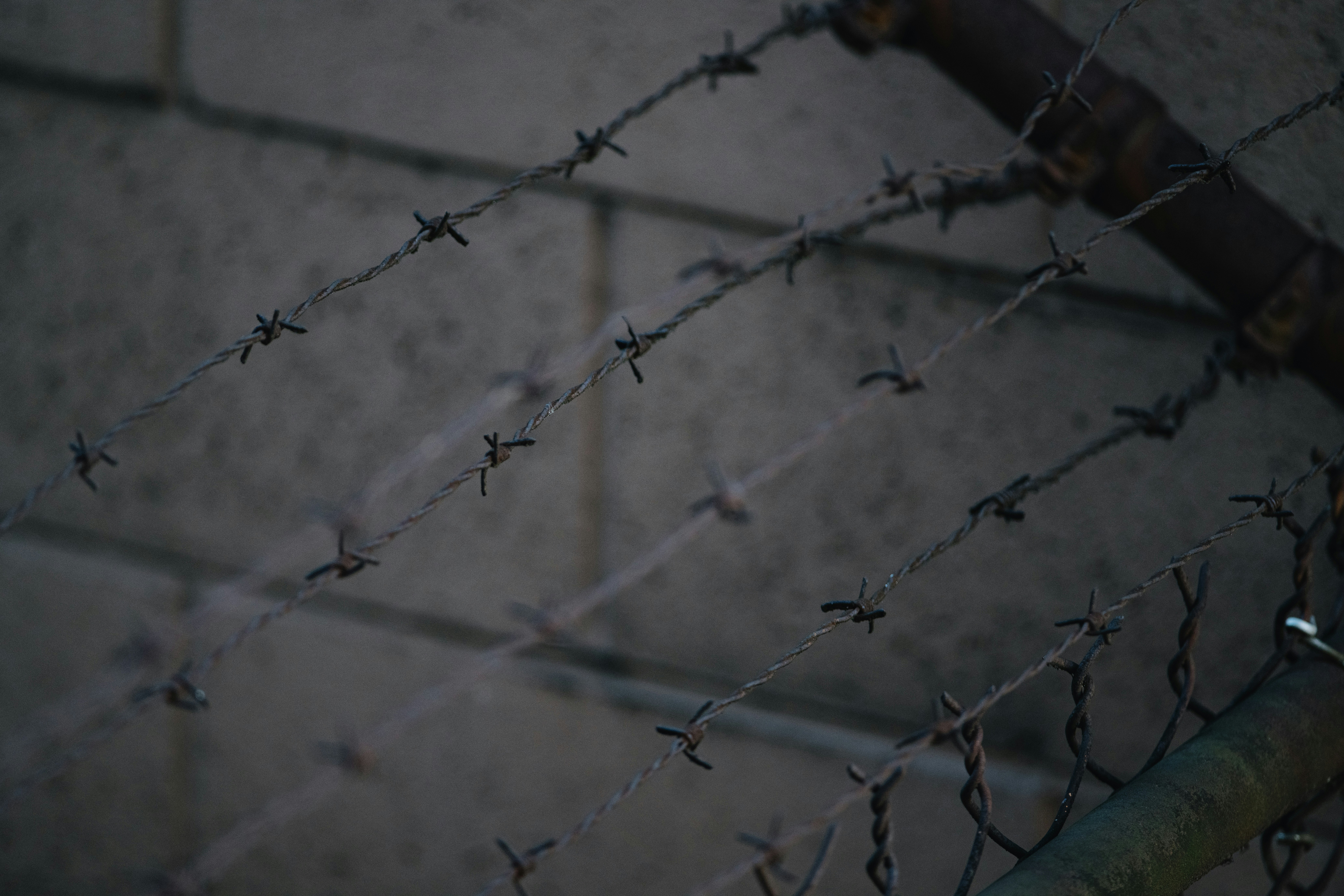 Photo by ericstoynov