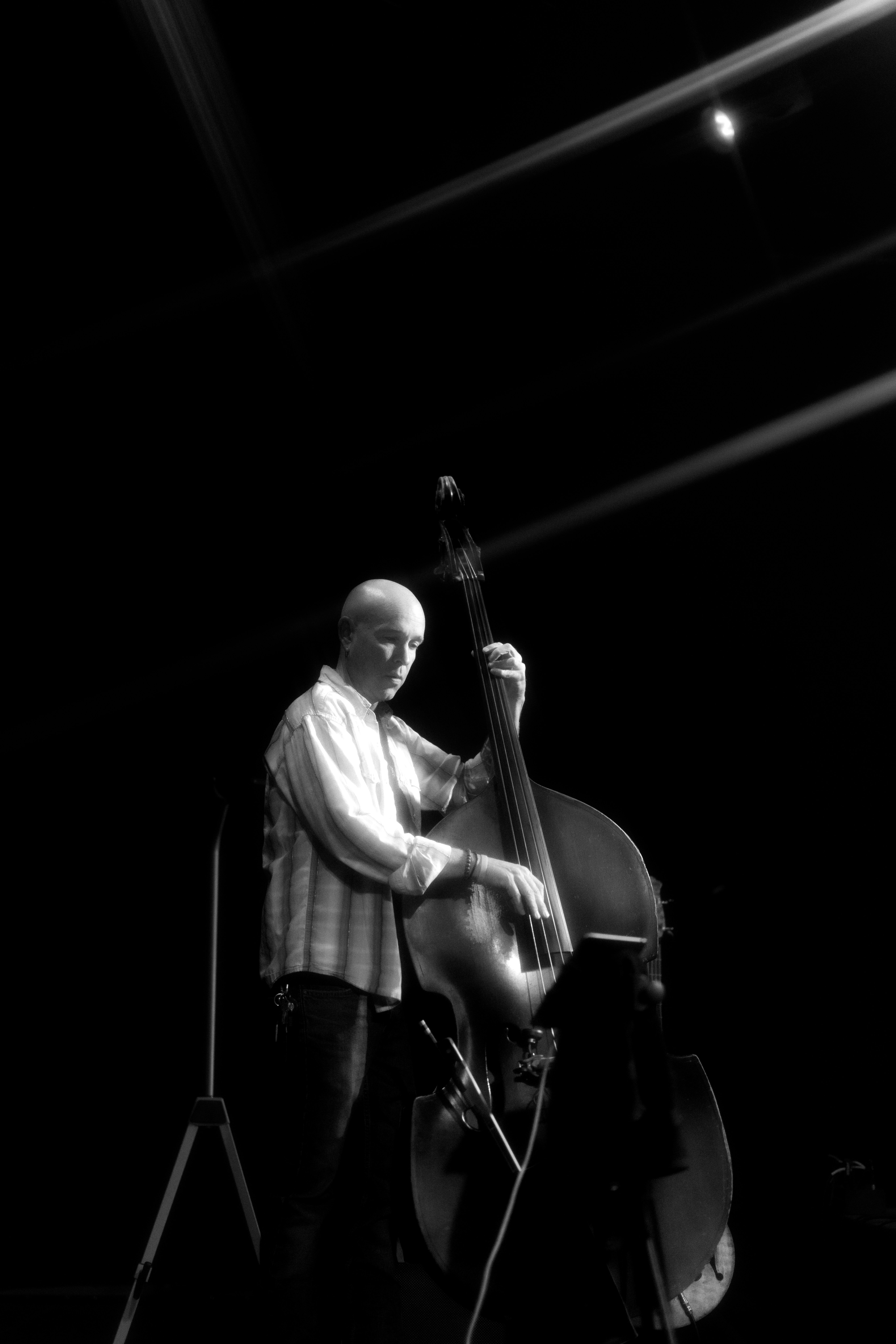 Musician playing upright bass on a dark stage.