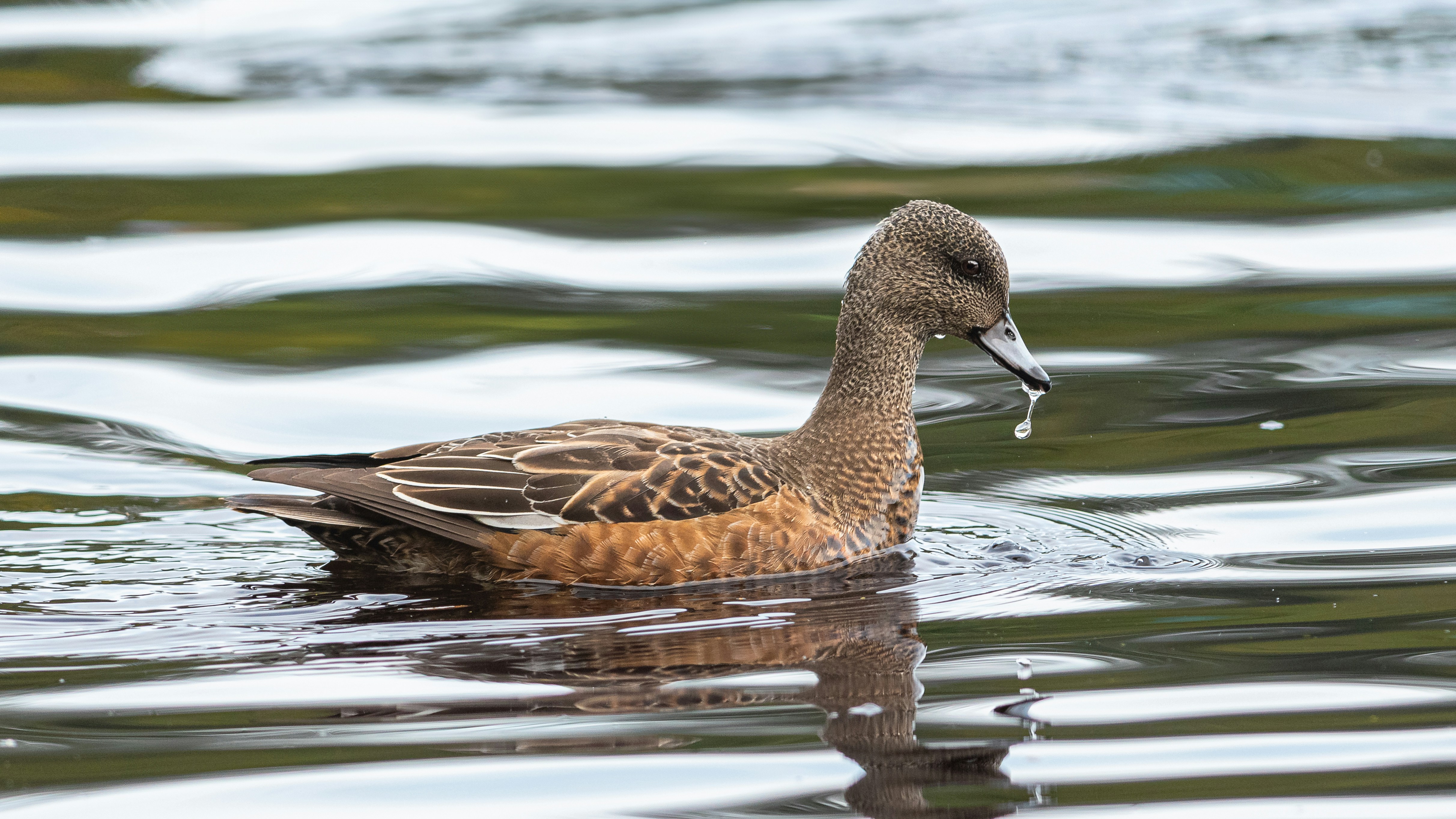 Photo by ericstoynov