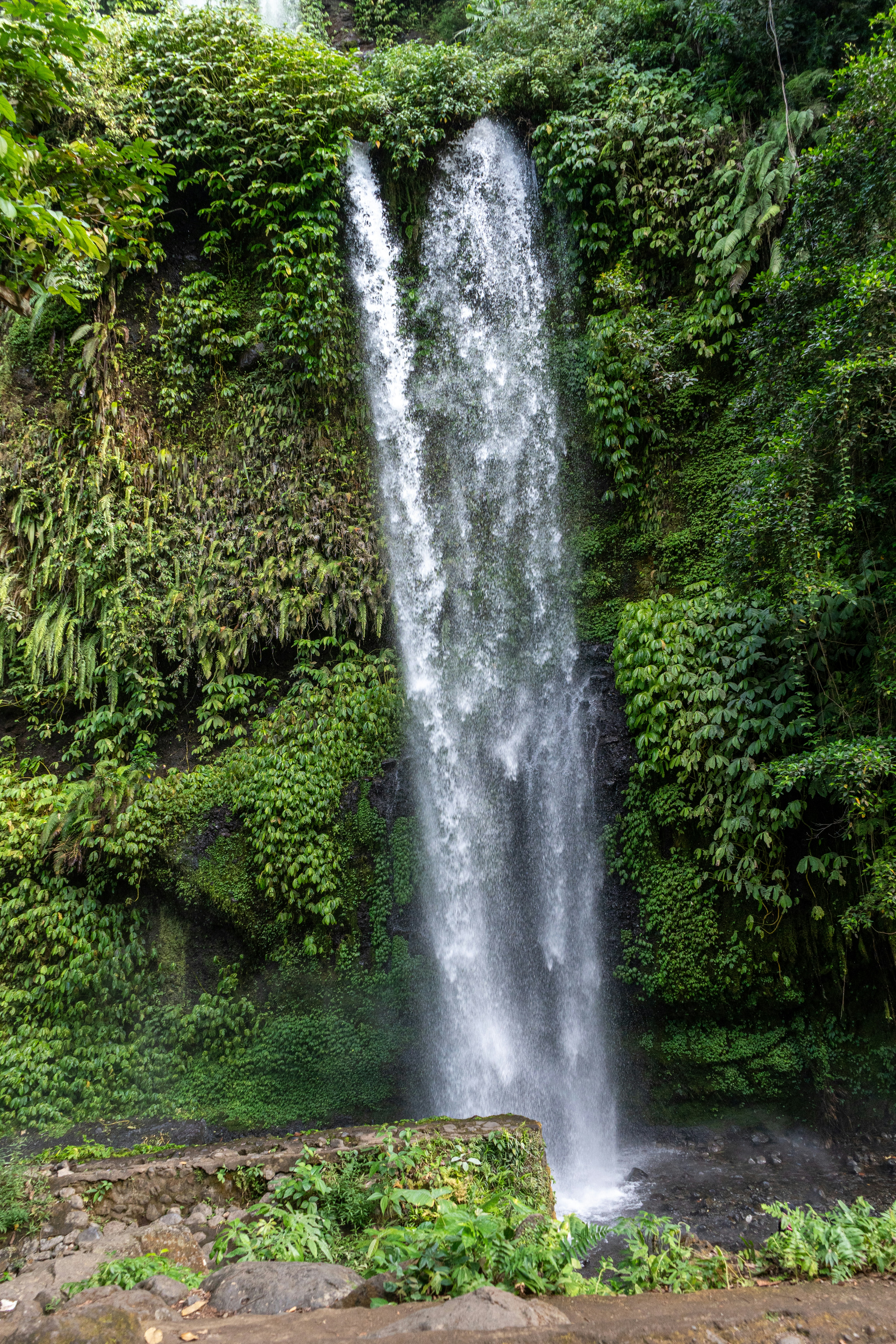 Photo by Chay Kelly on Unsplash