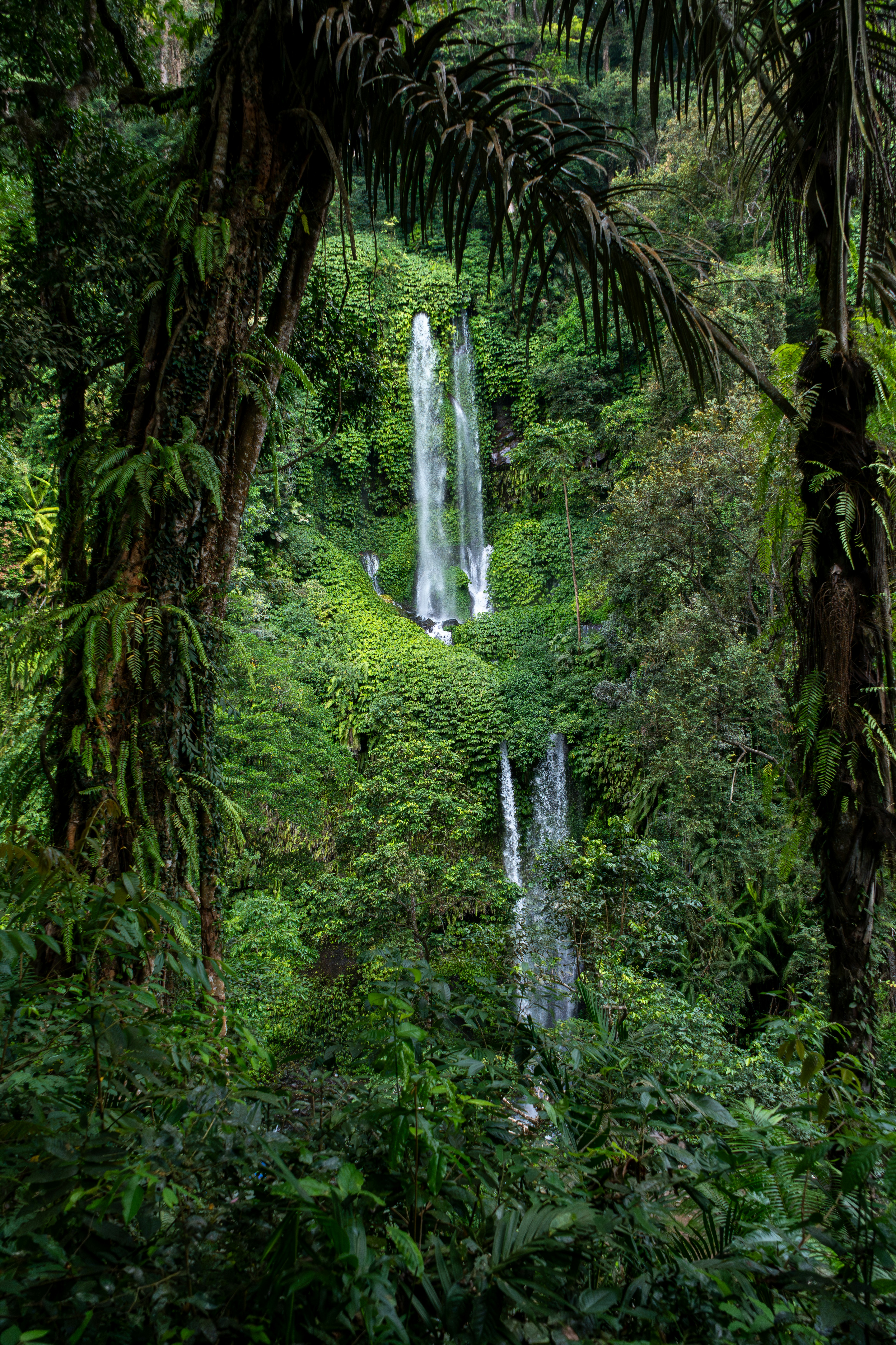 Photo by Chay Kelly on Unsplash