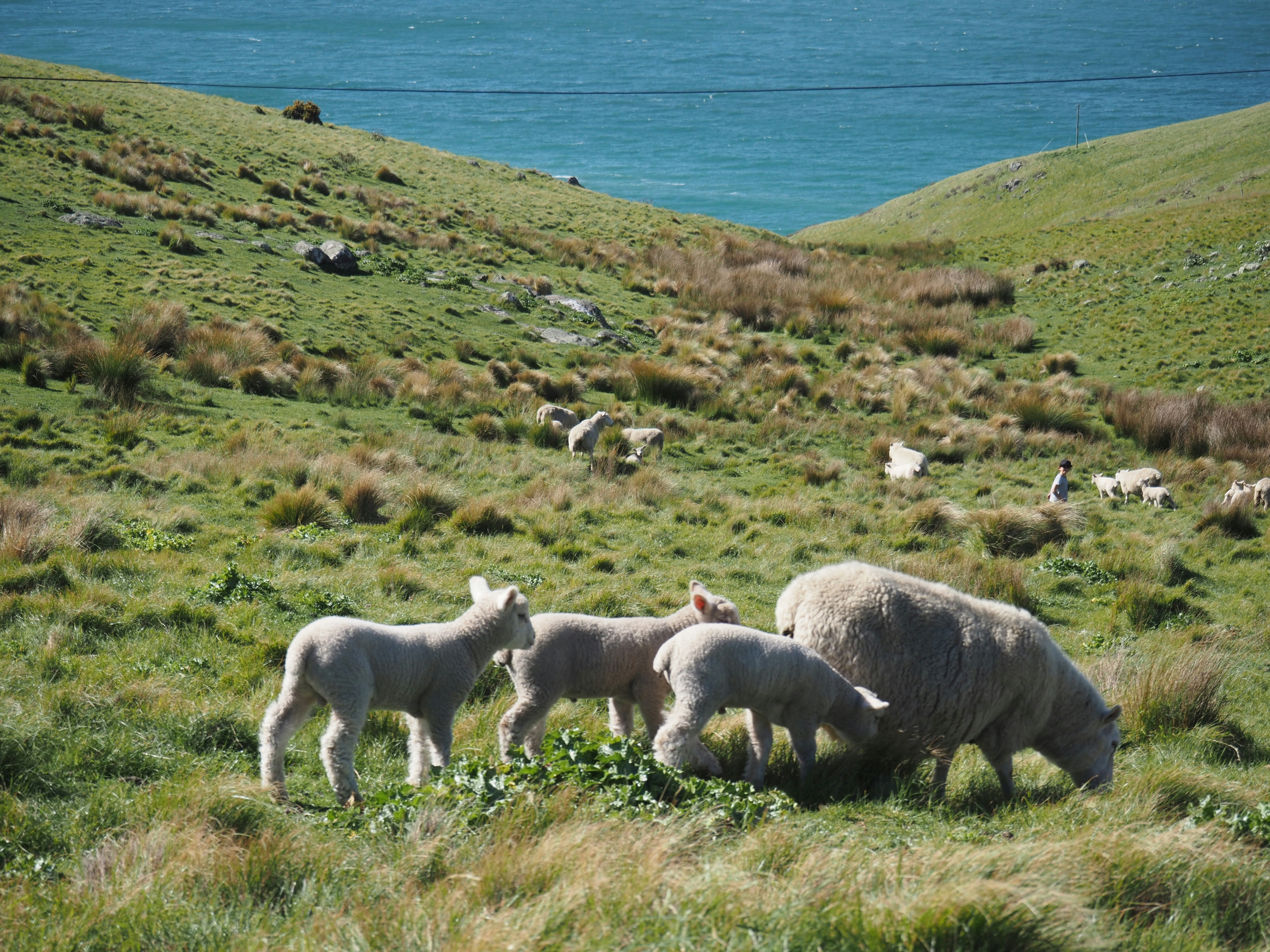 New Zealand South Island