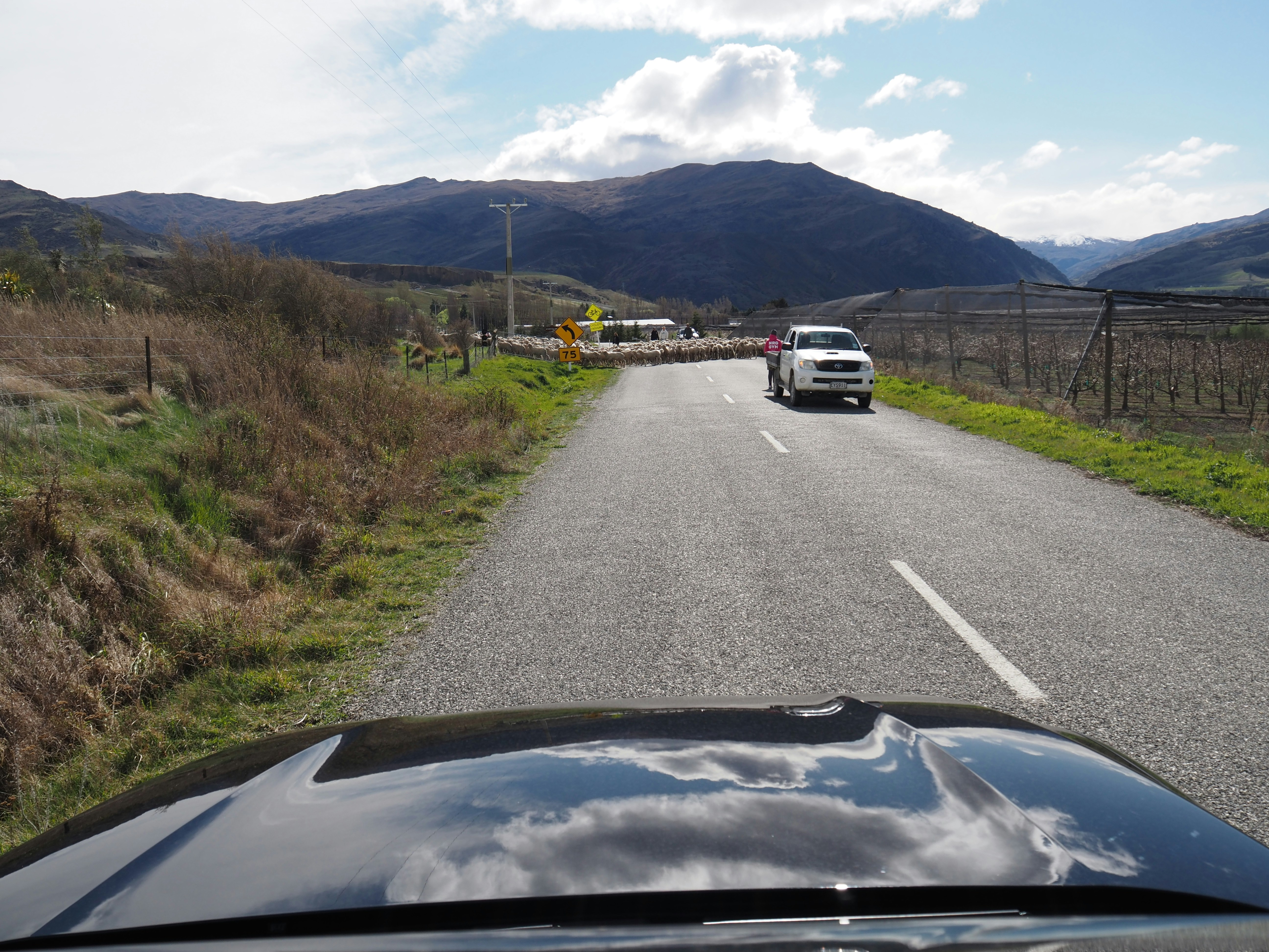 White suv driving on a rural road towards mountains.