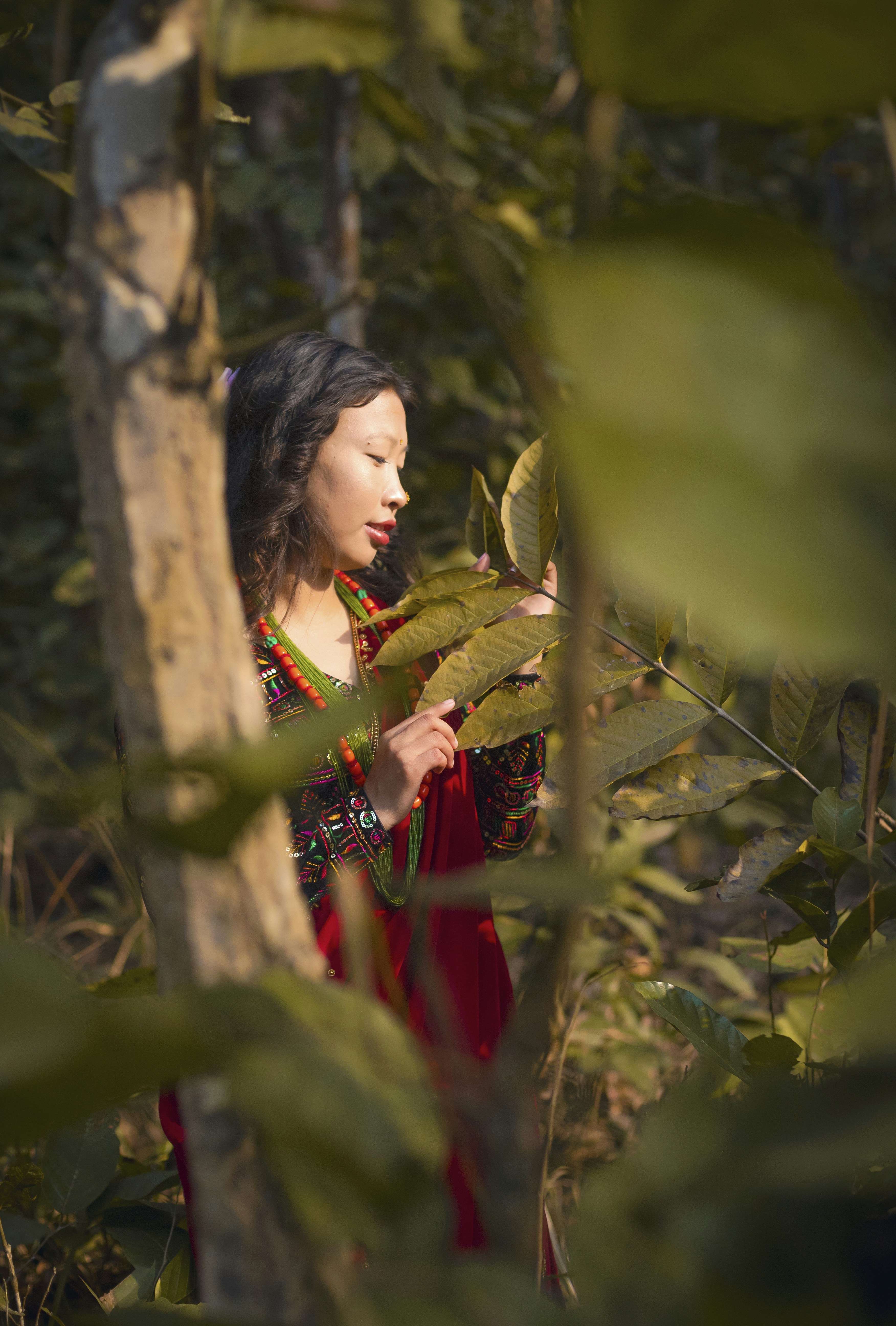 Photo by ashokjkshetri