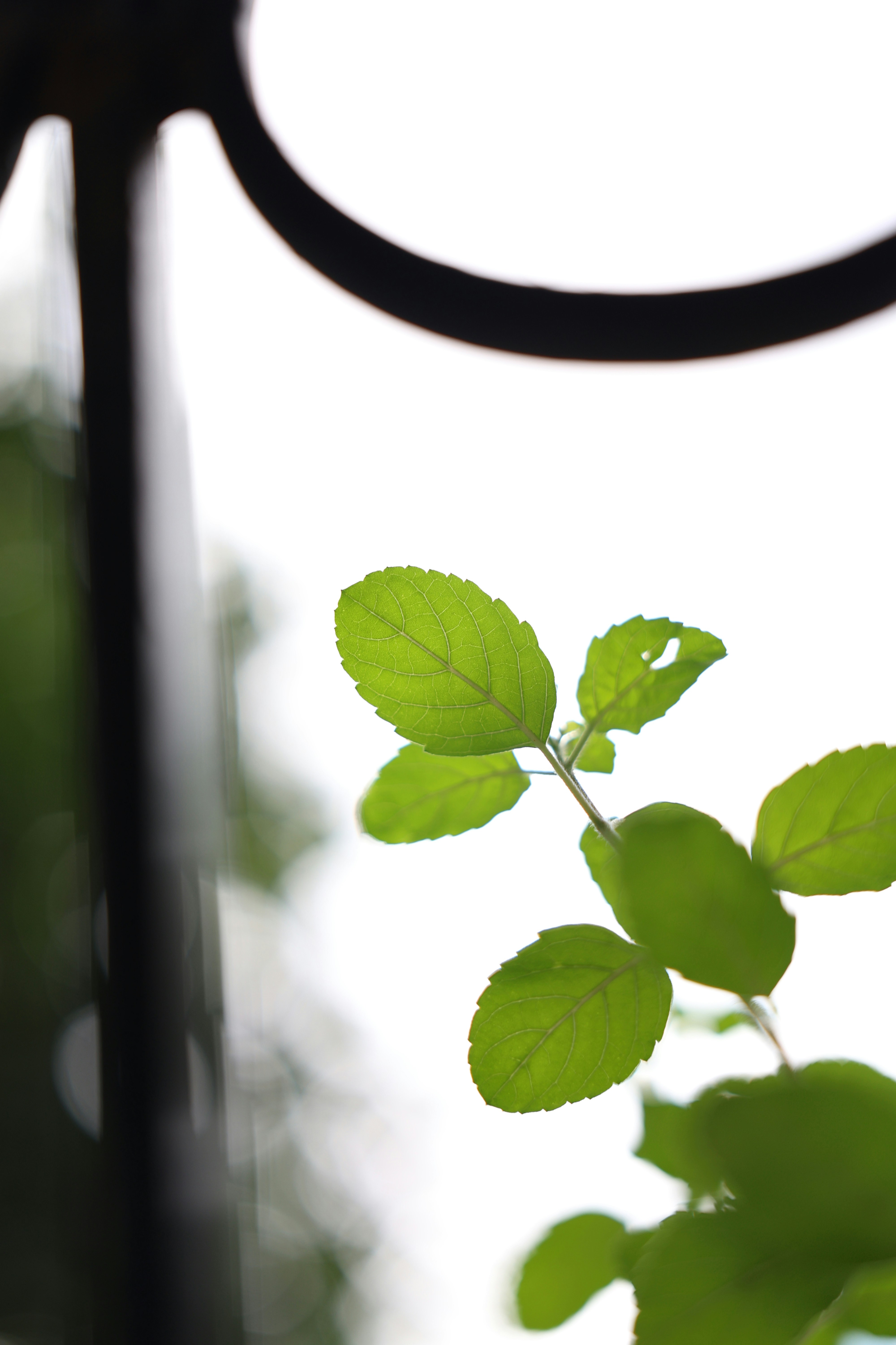 Photo by aditya_sethia_97