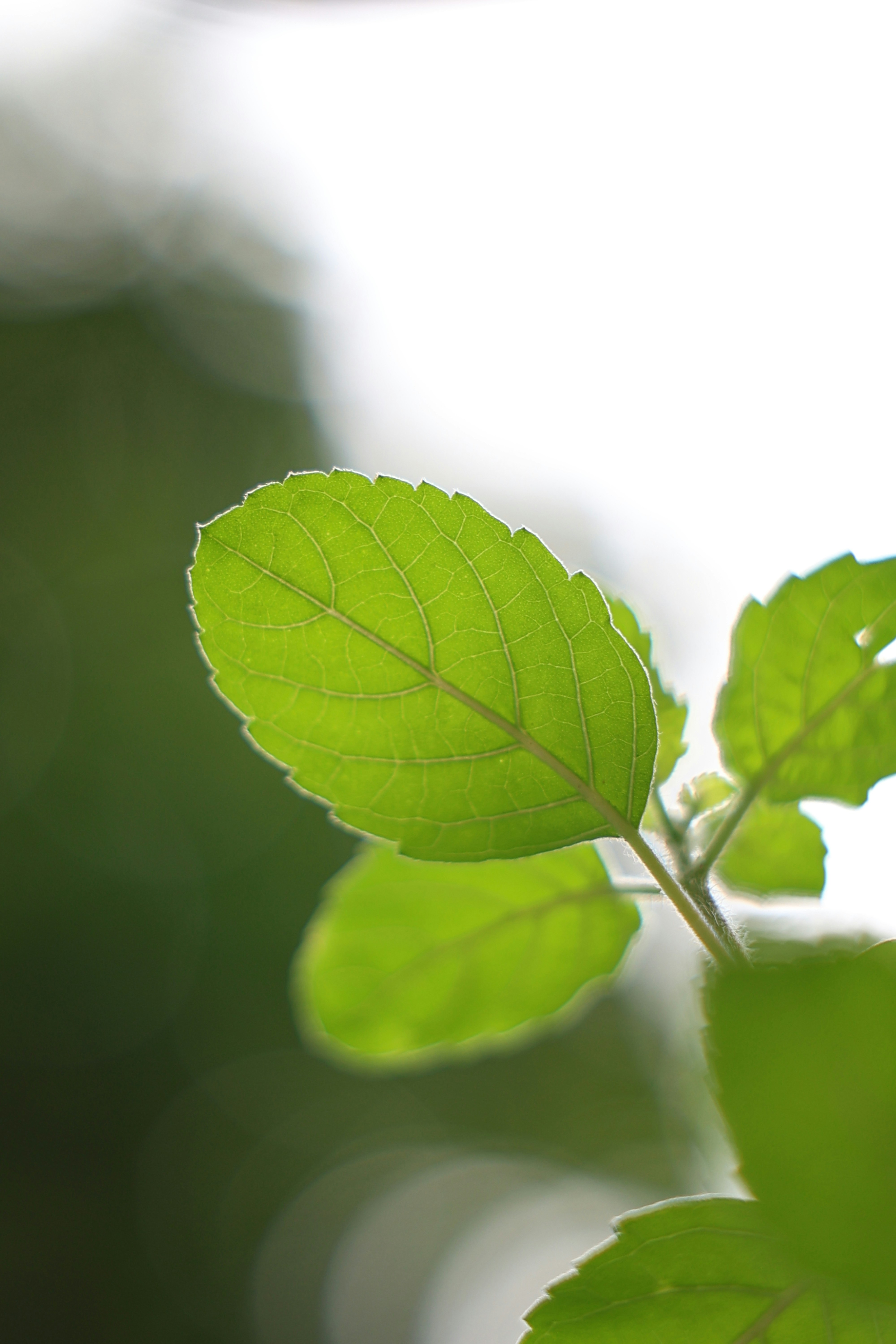 Photo by aditya_sethia_97