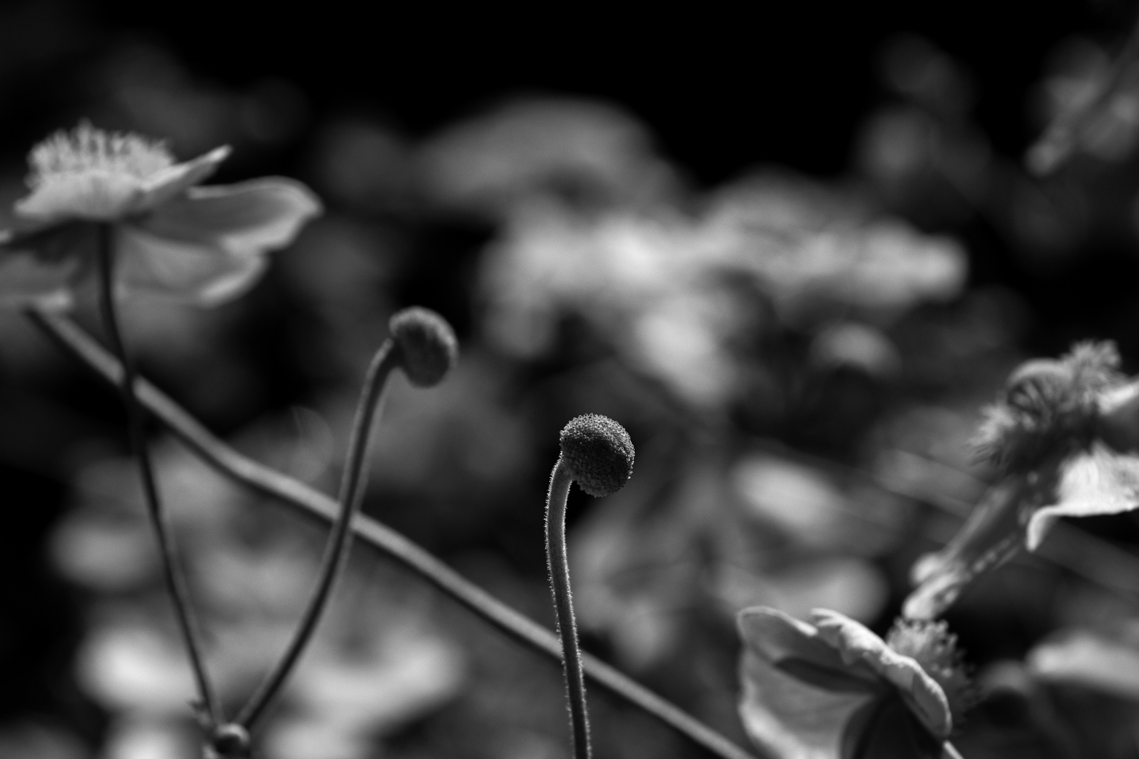 Photo by cooperavalon