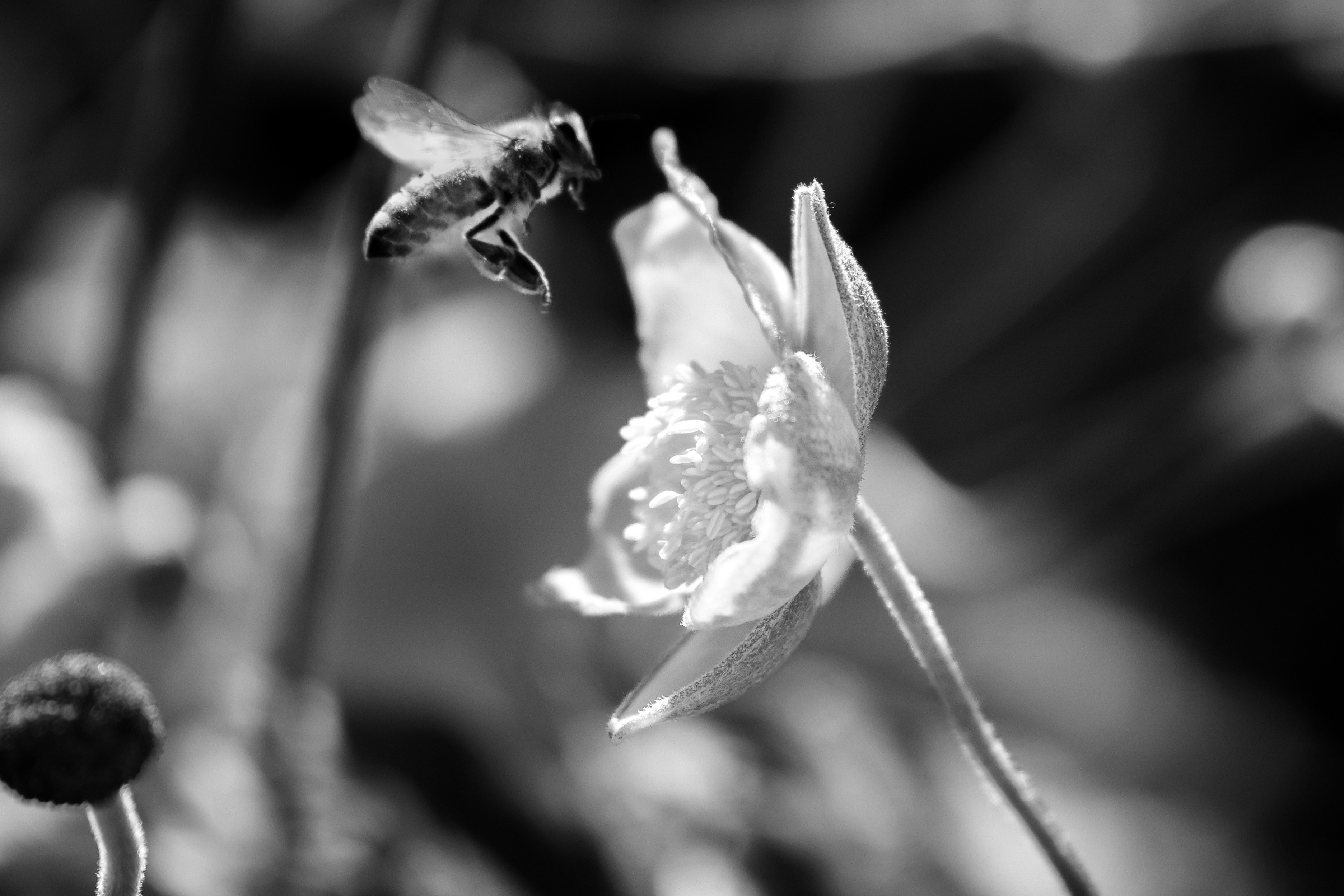 Photo by cooperavalon