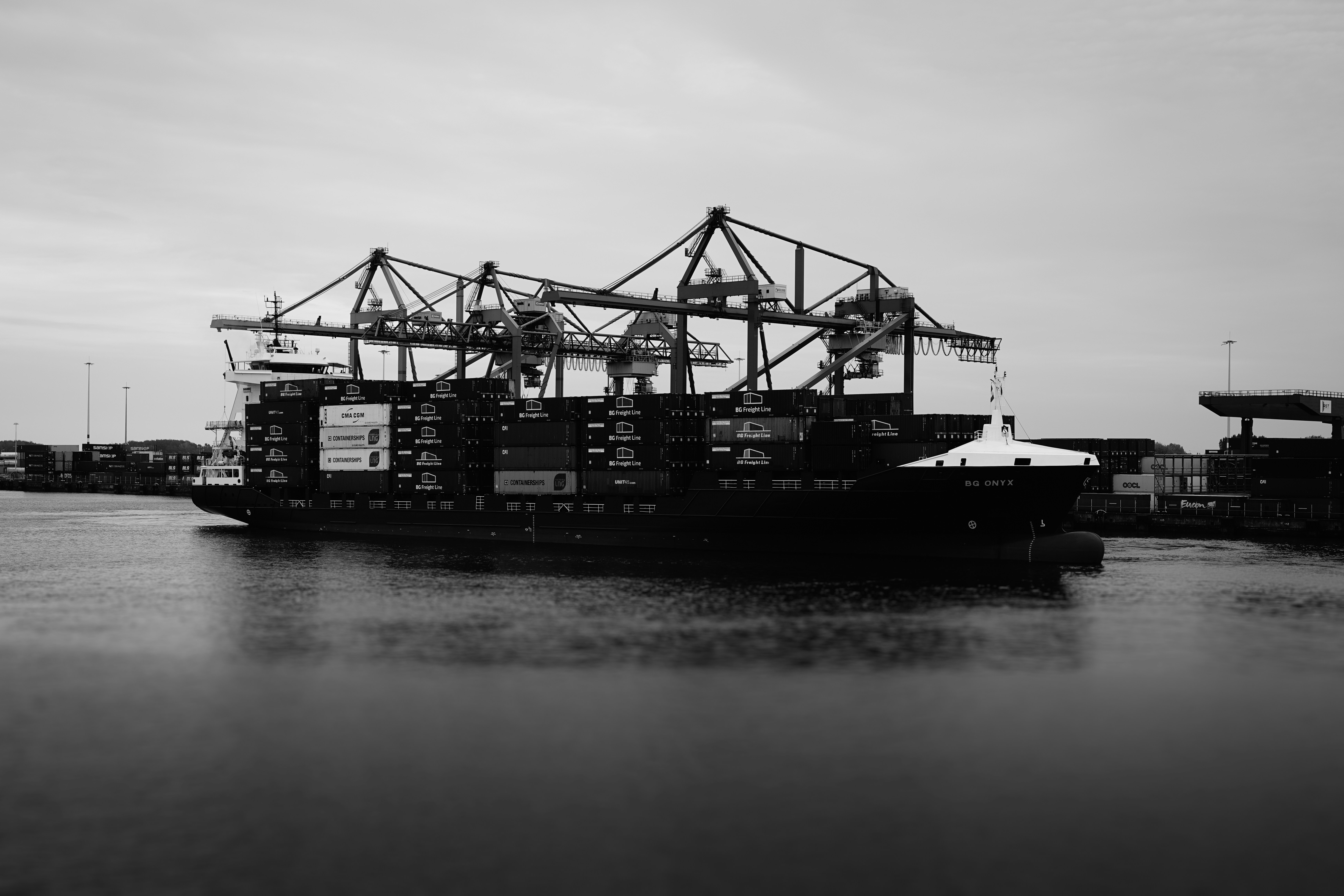 Large container ship with cranes in harbor.