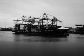 Large container ship with cranes in harbor.