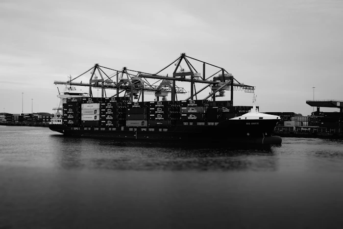 Large container ship with cranes in harbour