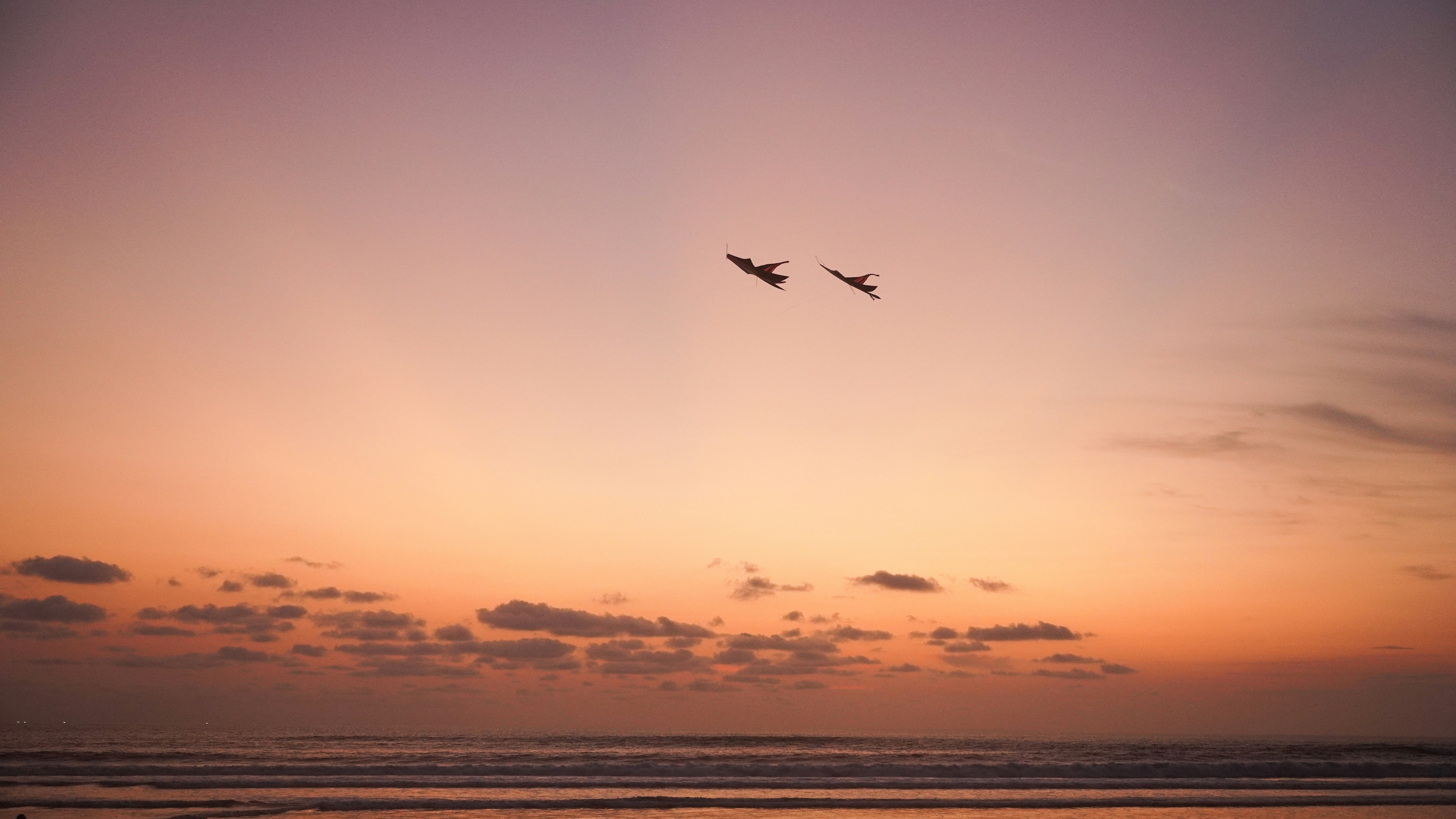 Dois pássaros voam através de um céu pastel do pôr do sol.