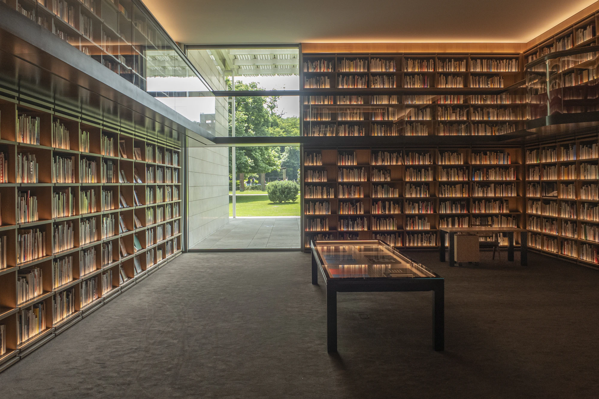 A warm, sunlit library reading room