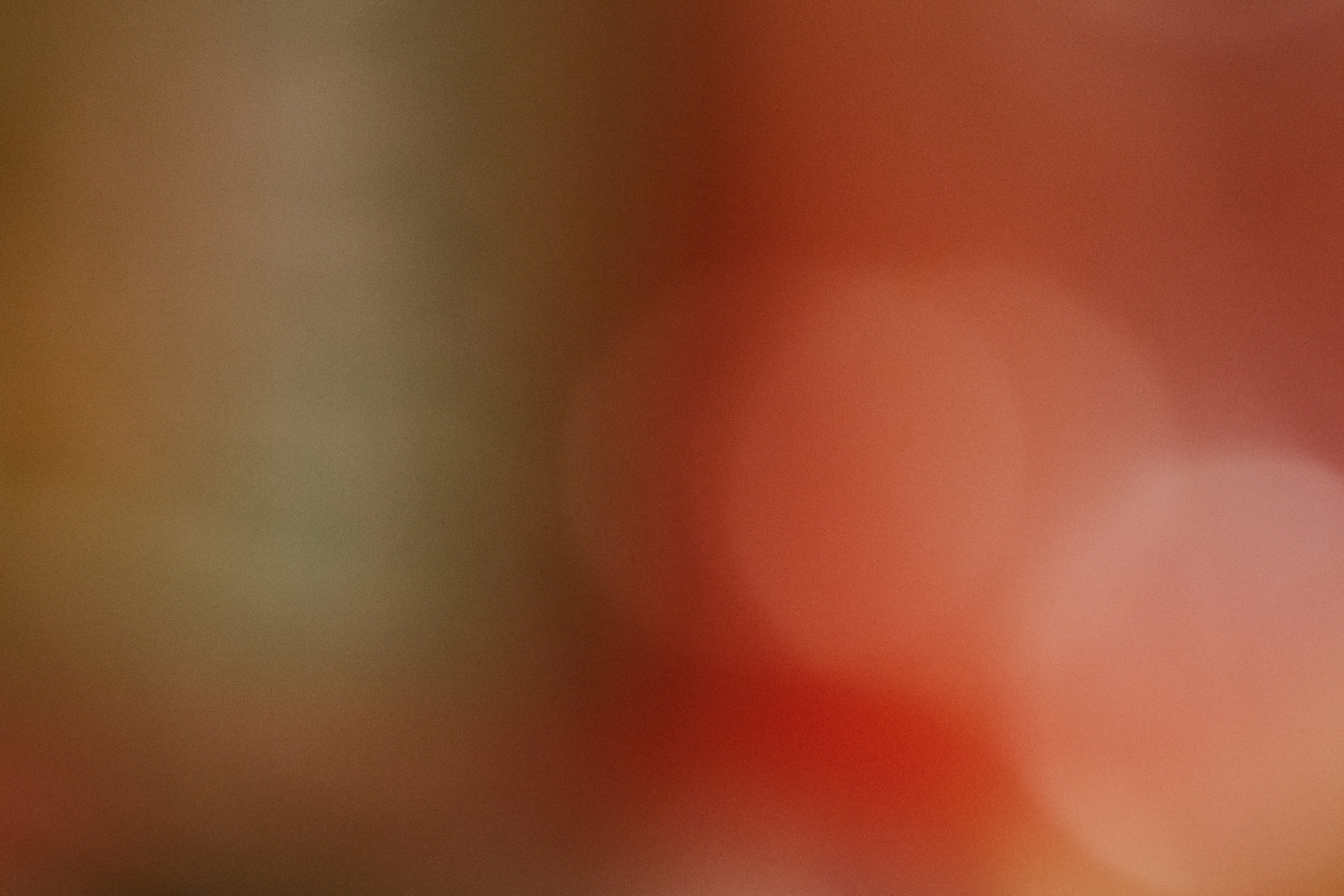 Photo by philipphubert