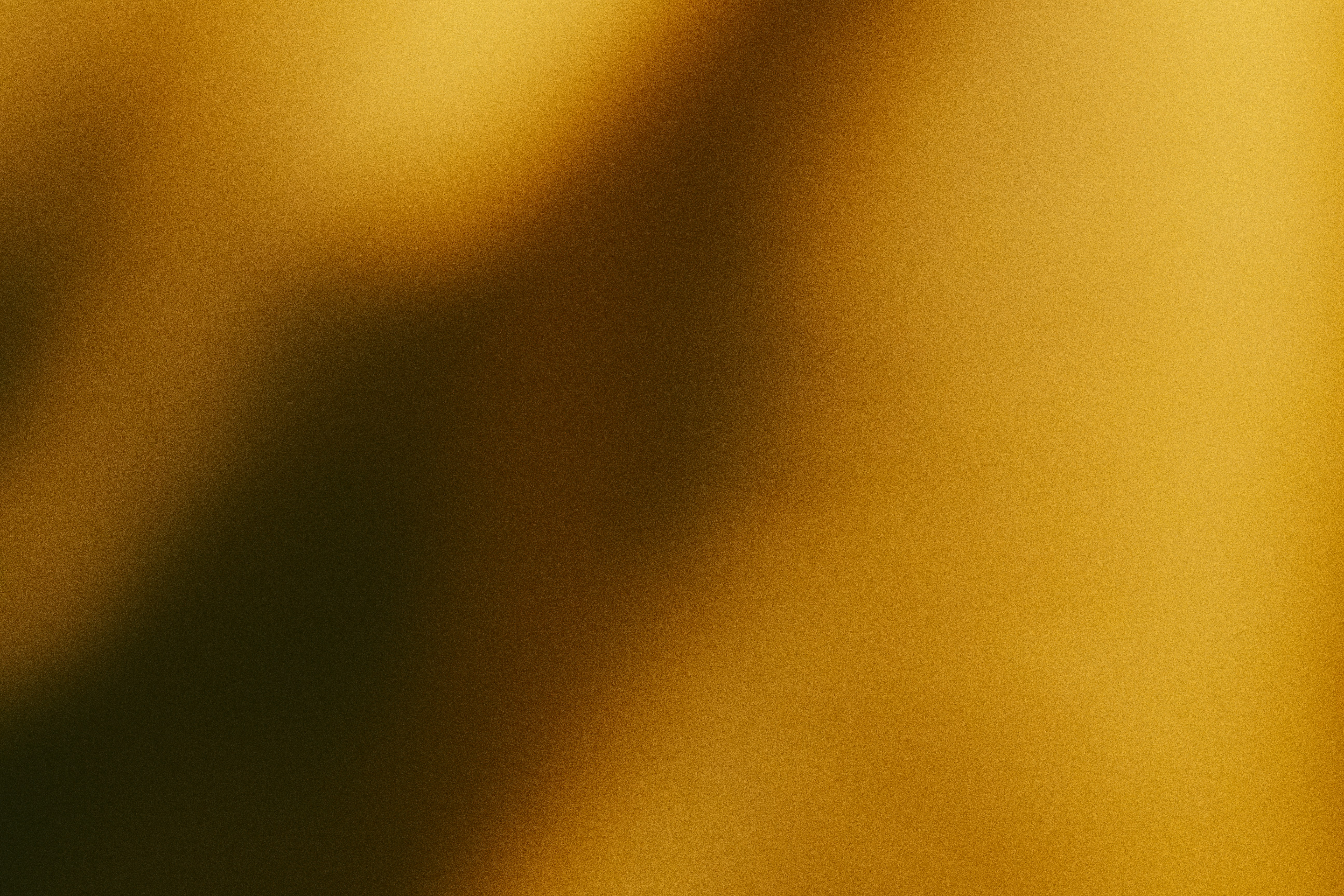 photo-1760172287483-02d382f63a6f?ixid=M3wxMjA3fDB8MXxzZWFyY2h8MjB8fHVmYWJldHxlbnwwfHx8fDE3NjE1MzIzNjF8MA\u0026ixlib=rb-4.1.0